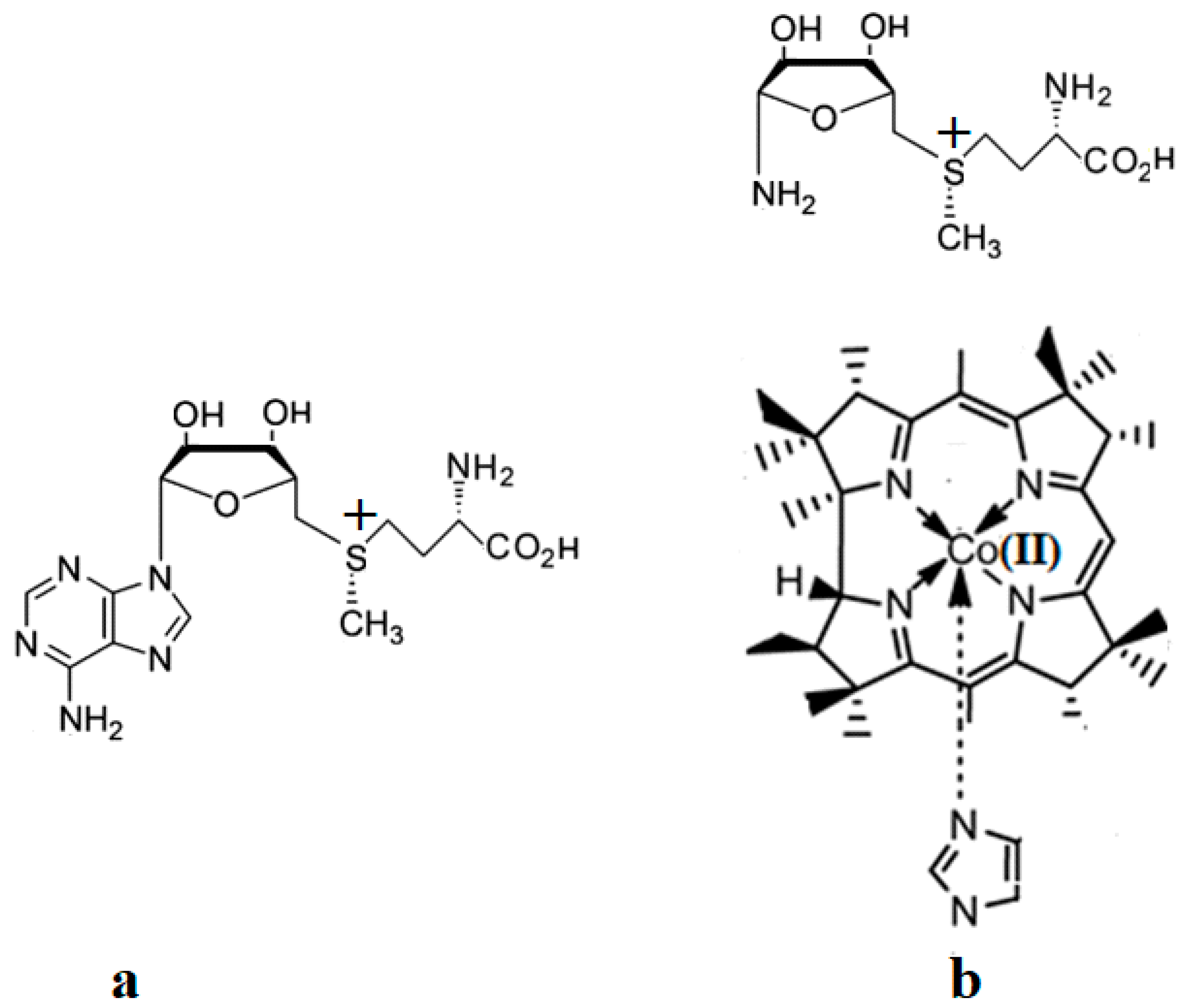 Reactions 05 00002 g018 Reactions 05 00002 g018