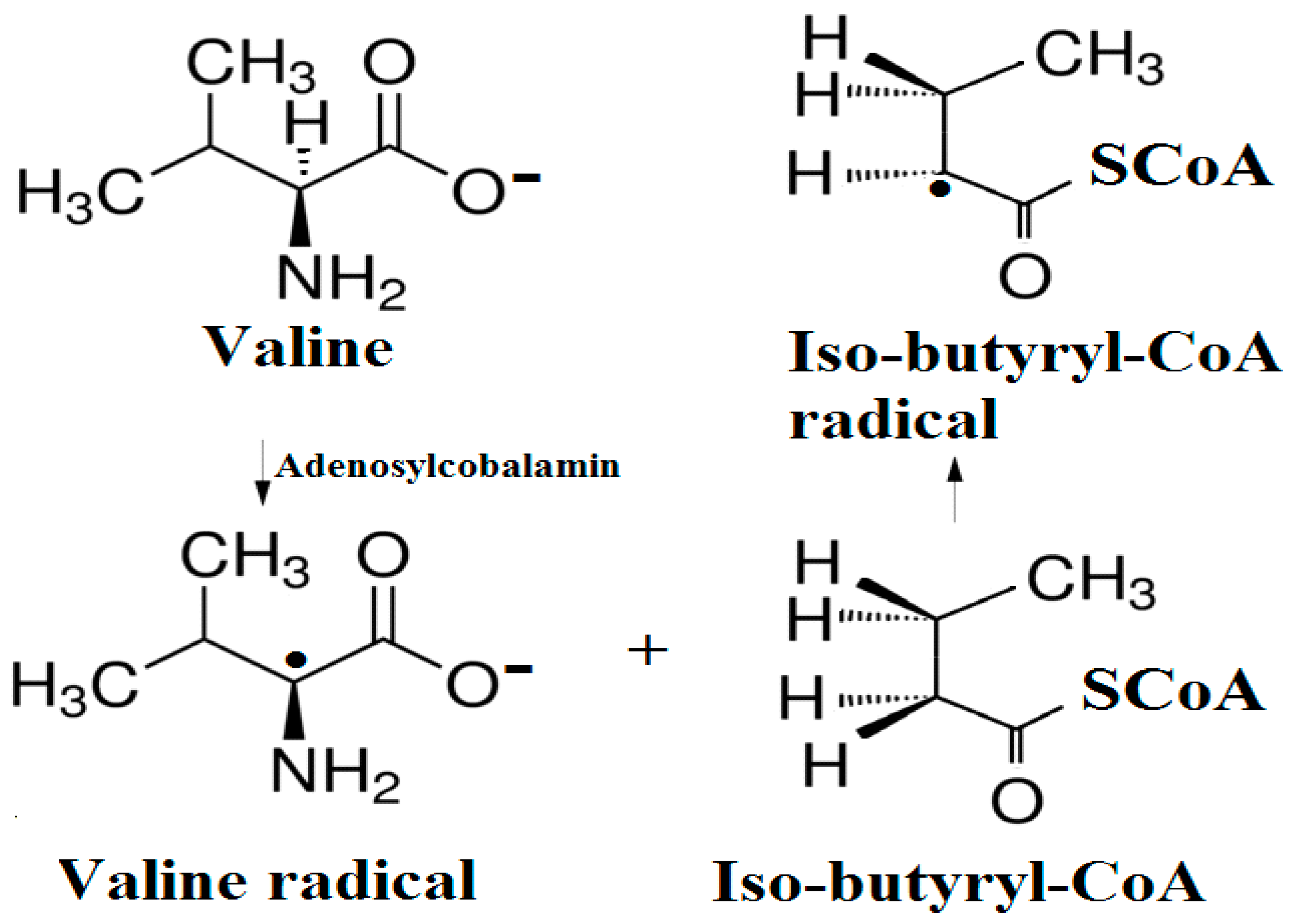Reactions 05 00002 g022 Reactions 05 00002 g022