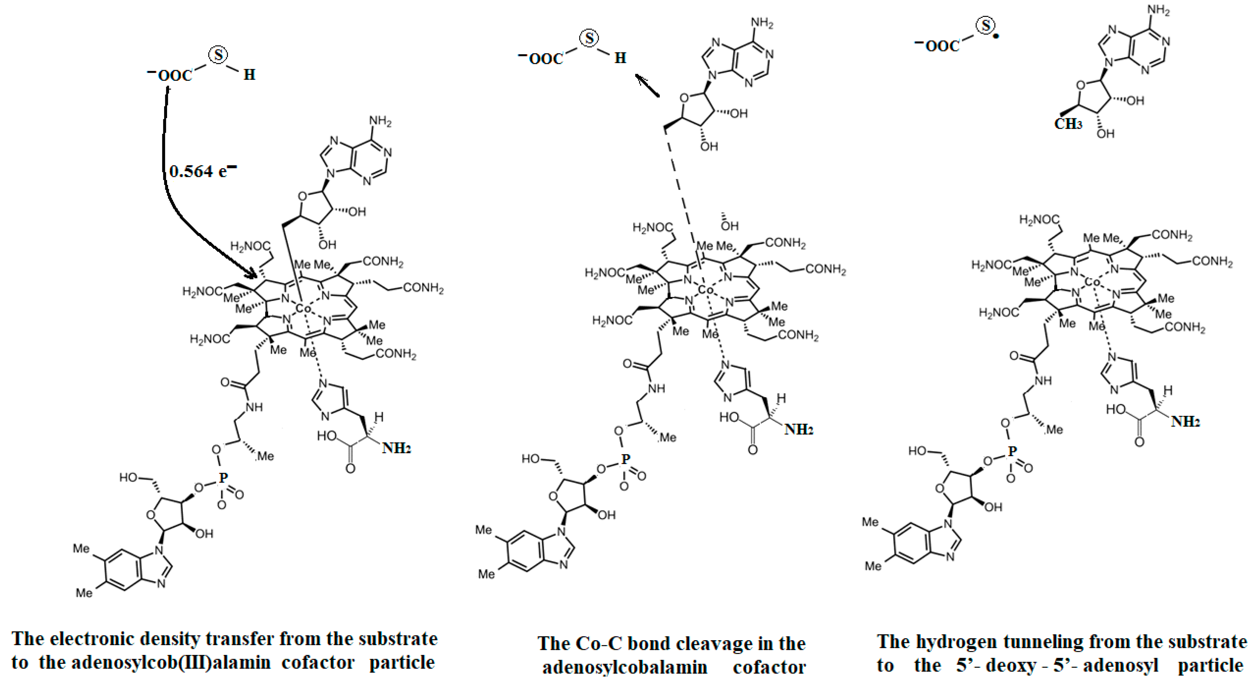 Reactions 05 00002 g026 Reactions 05 00002 g026