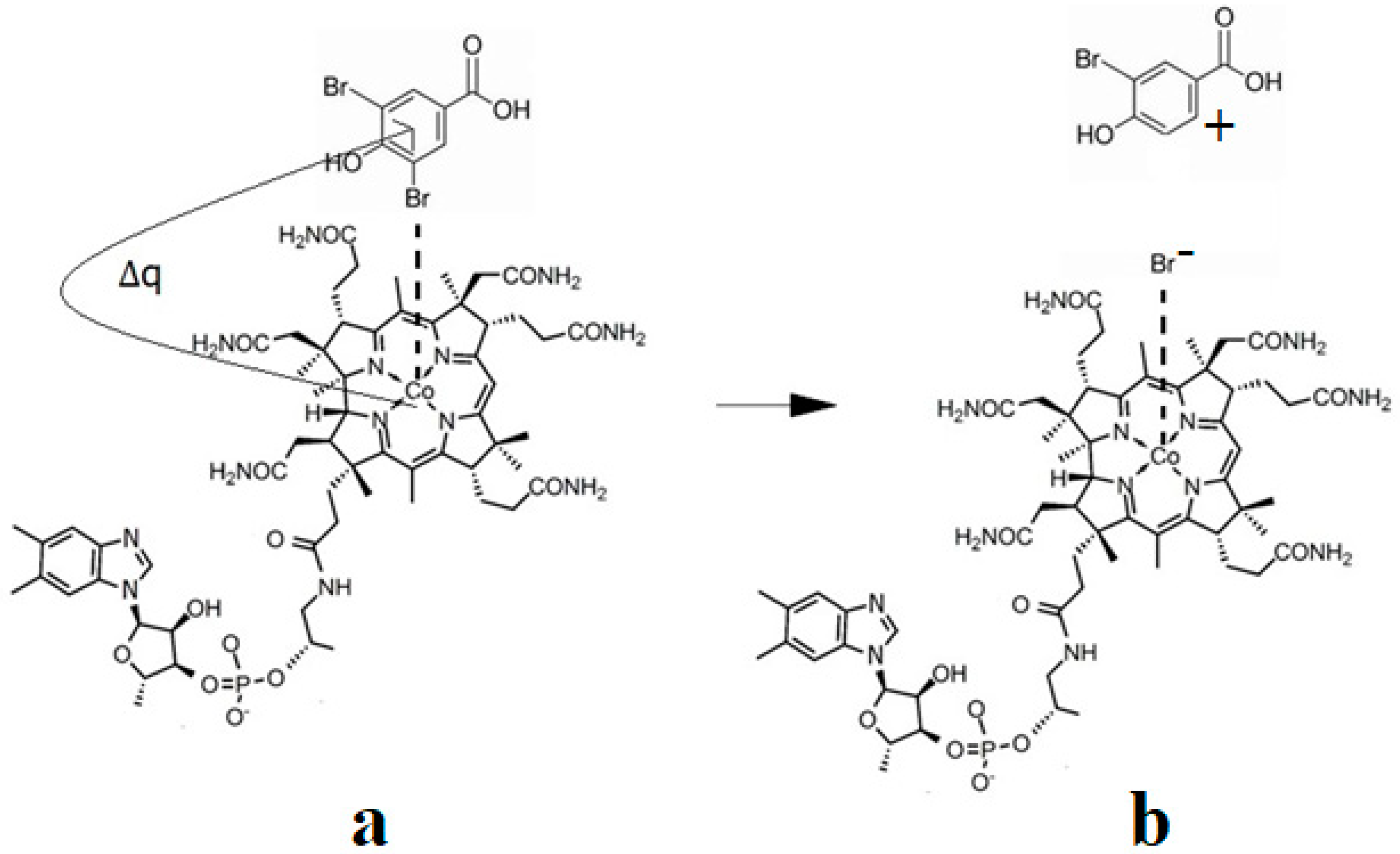 Reactions 05 00002 g038 Reactions 05 00002 g038