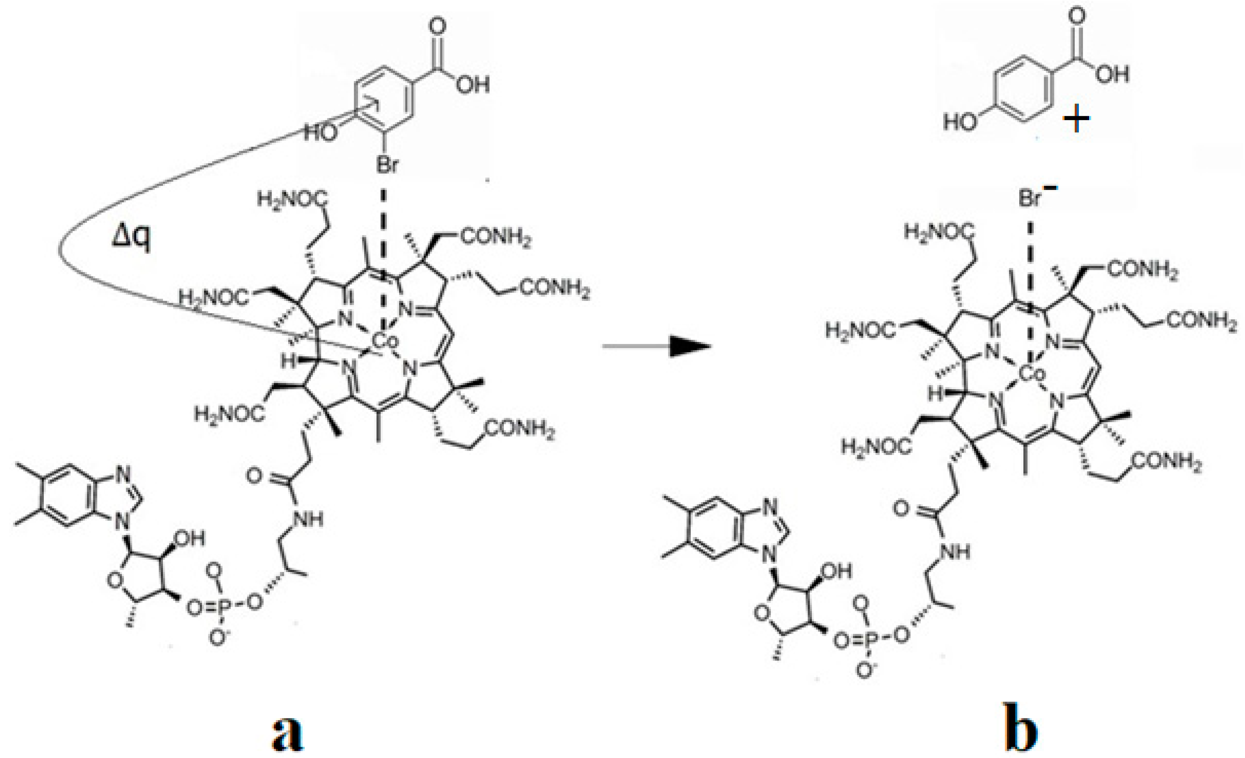 Reactions 05 00002 g039 Reactions 05 00002 g039