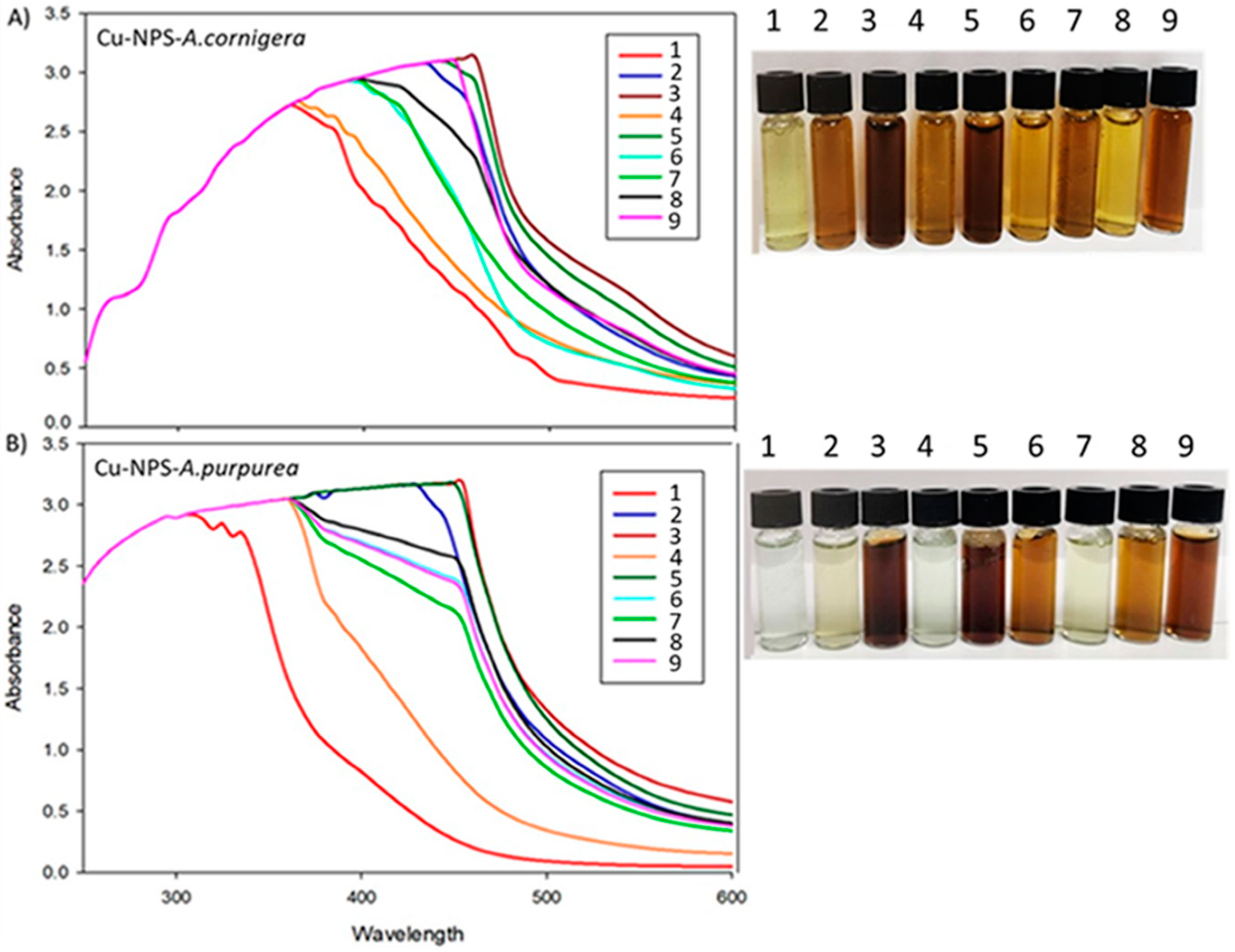 Reactions 05 00013 g001