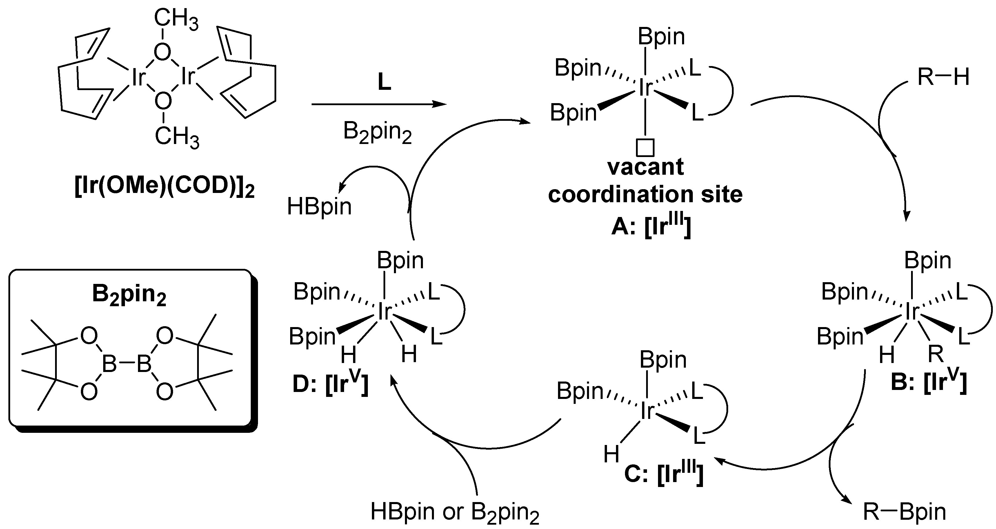 Reactions 05 00016 sch002 Reactions 05 00016 sch002