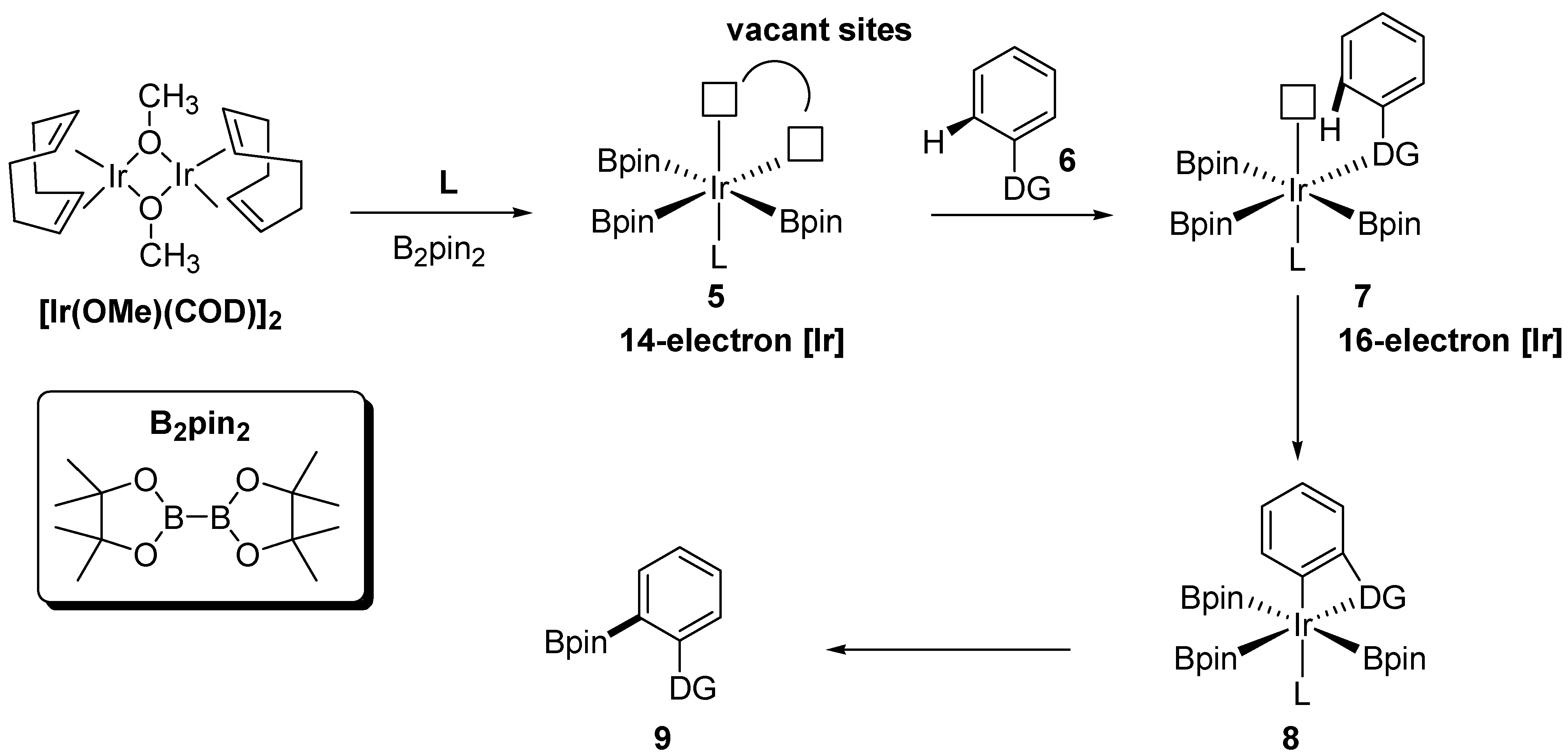 Reactions 05 00016 sch004 Reactions 05 00016 sch004