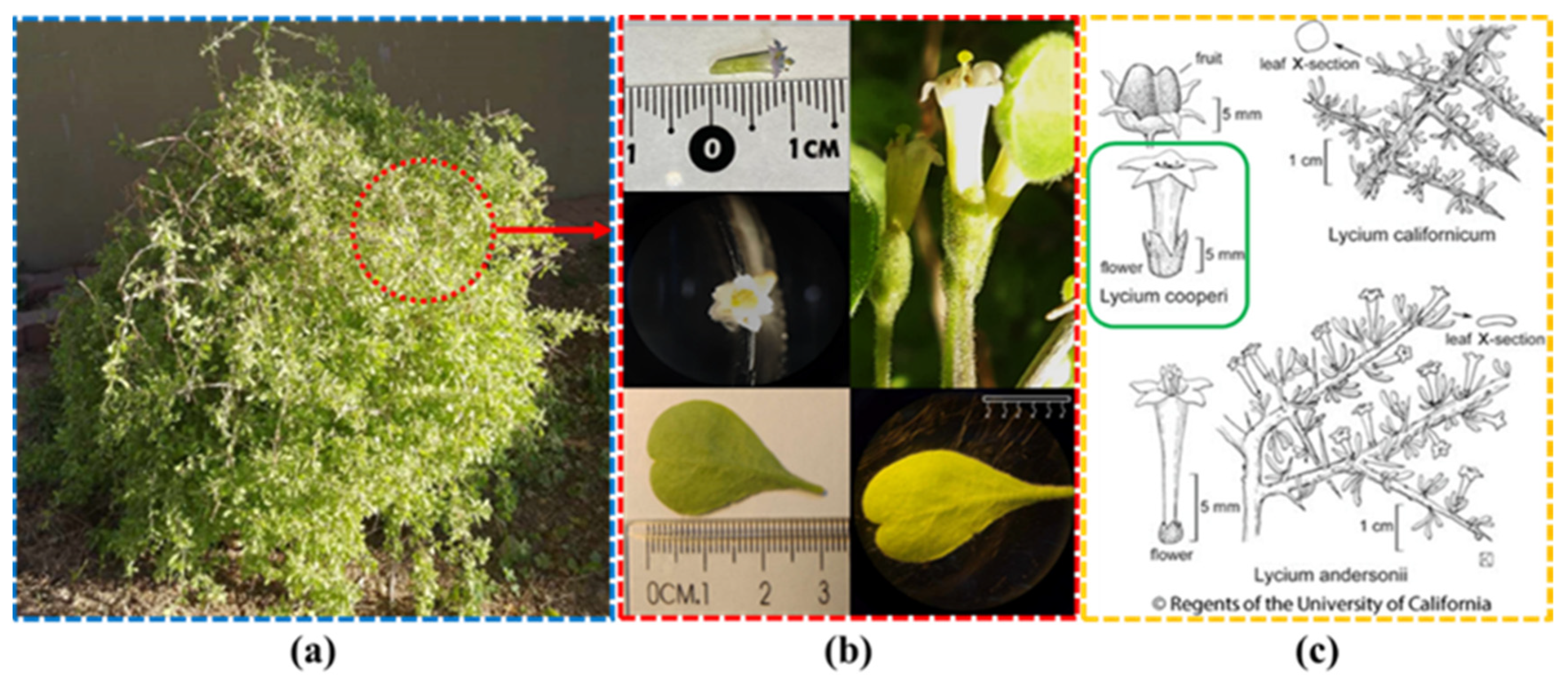 Reactions 06 00014 g001