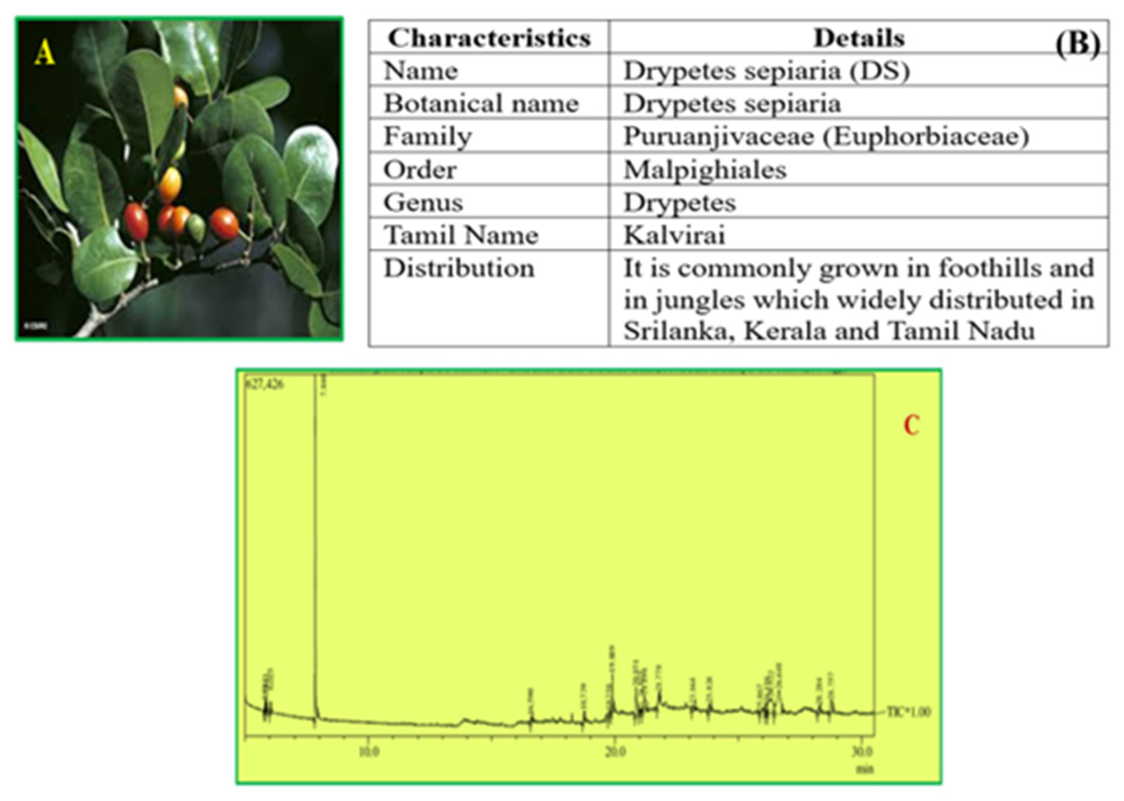 Reactions 06 00032 g001