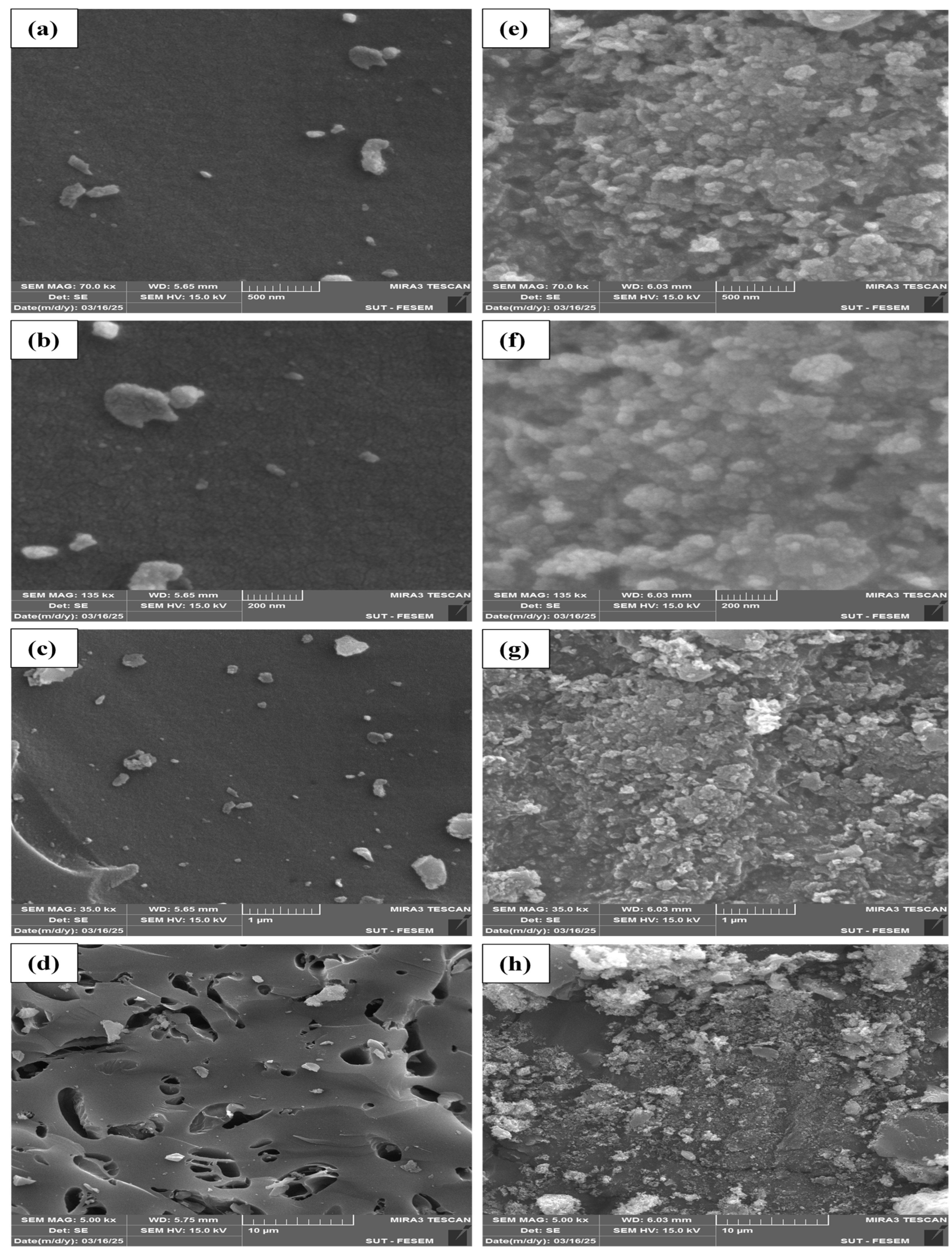 Reactions 06 00038 g005