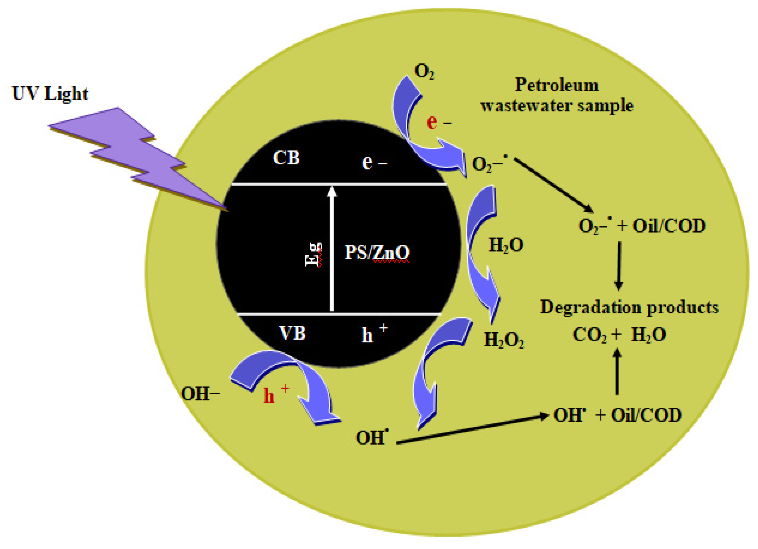 Reactions 06 00038 g020