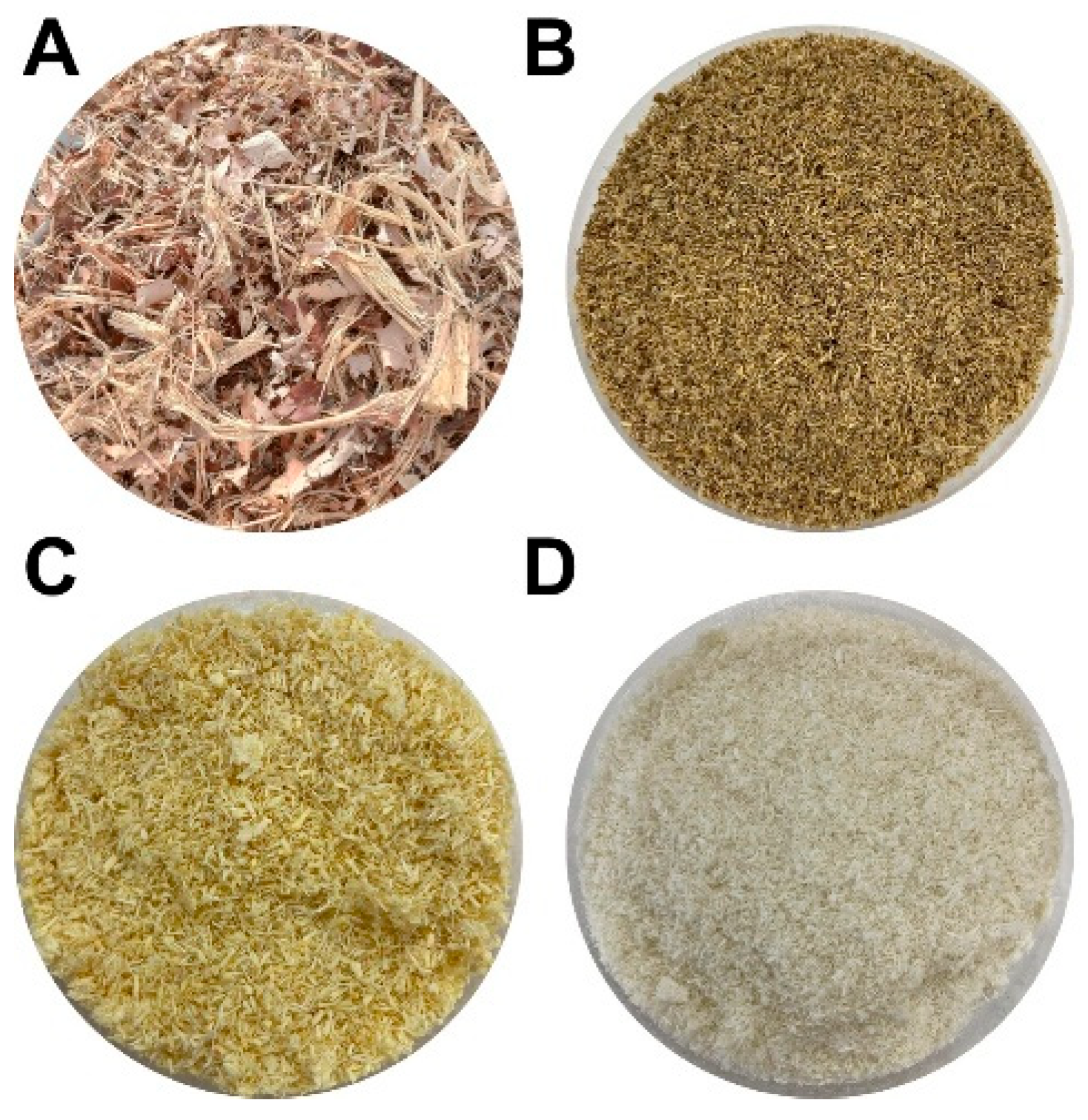 Reactions 06 00060 g001