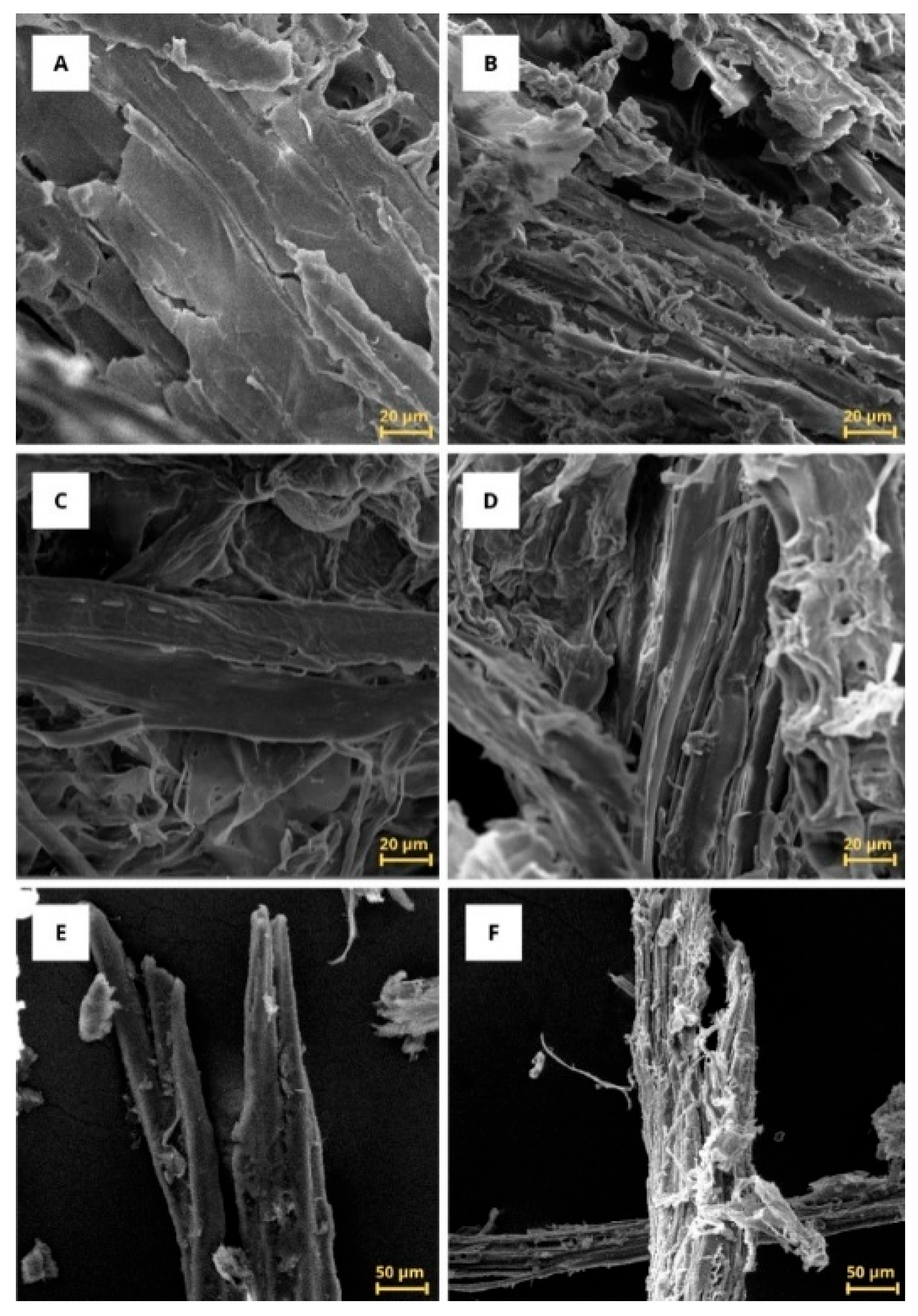 Reactions 06 00060 g003