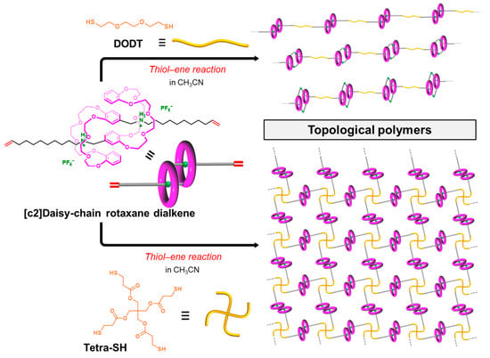Self-Healing Network Polymers Based on Dissociable [c2]Daisy-Chain ...