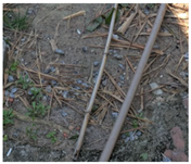 Realestate 02 00020 i002