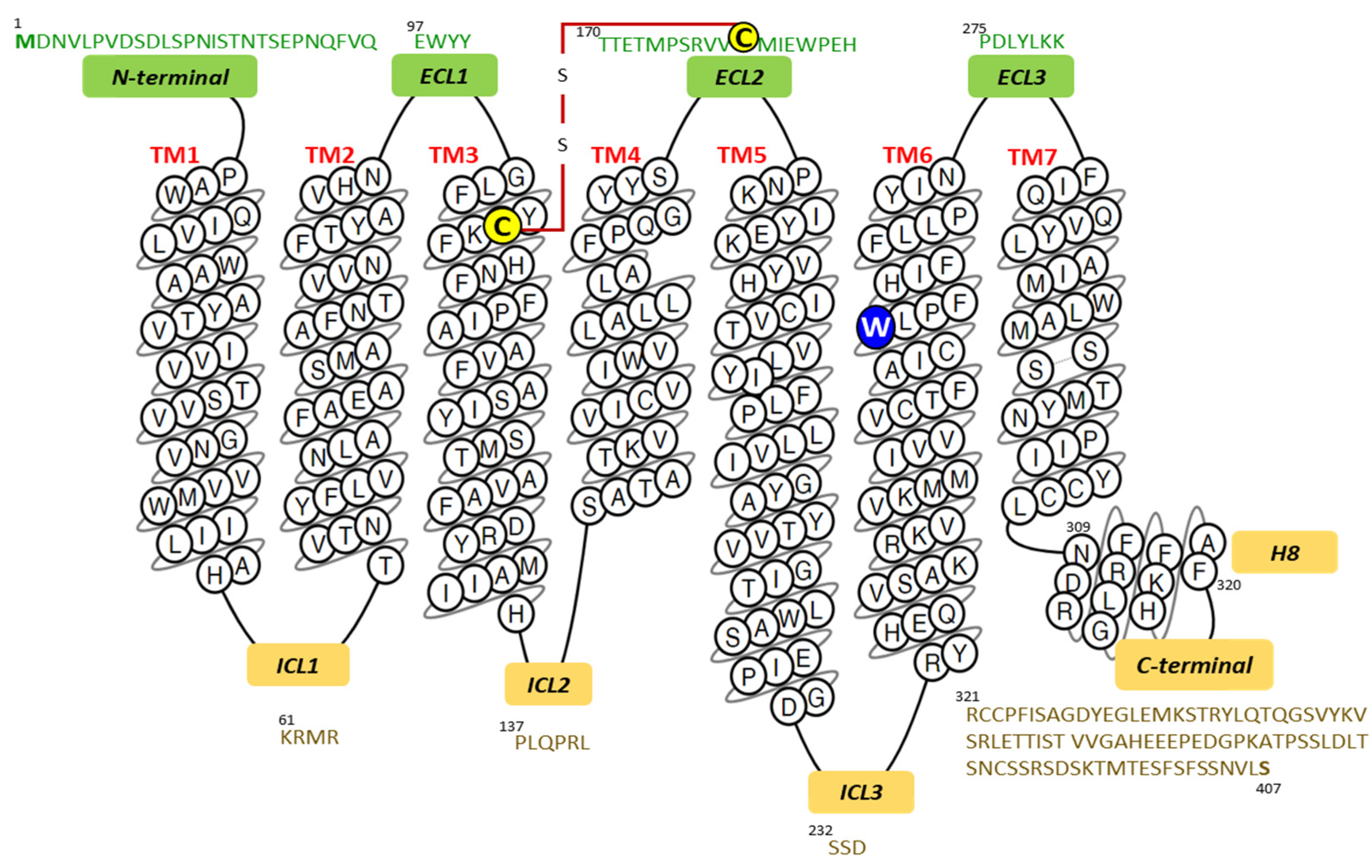 Receptors 01 00004 g001 Receptors 01 00004 g001
