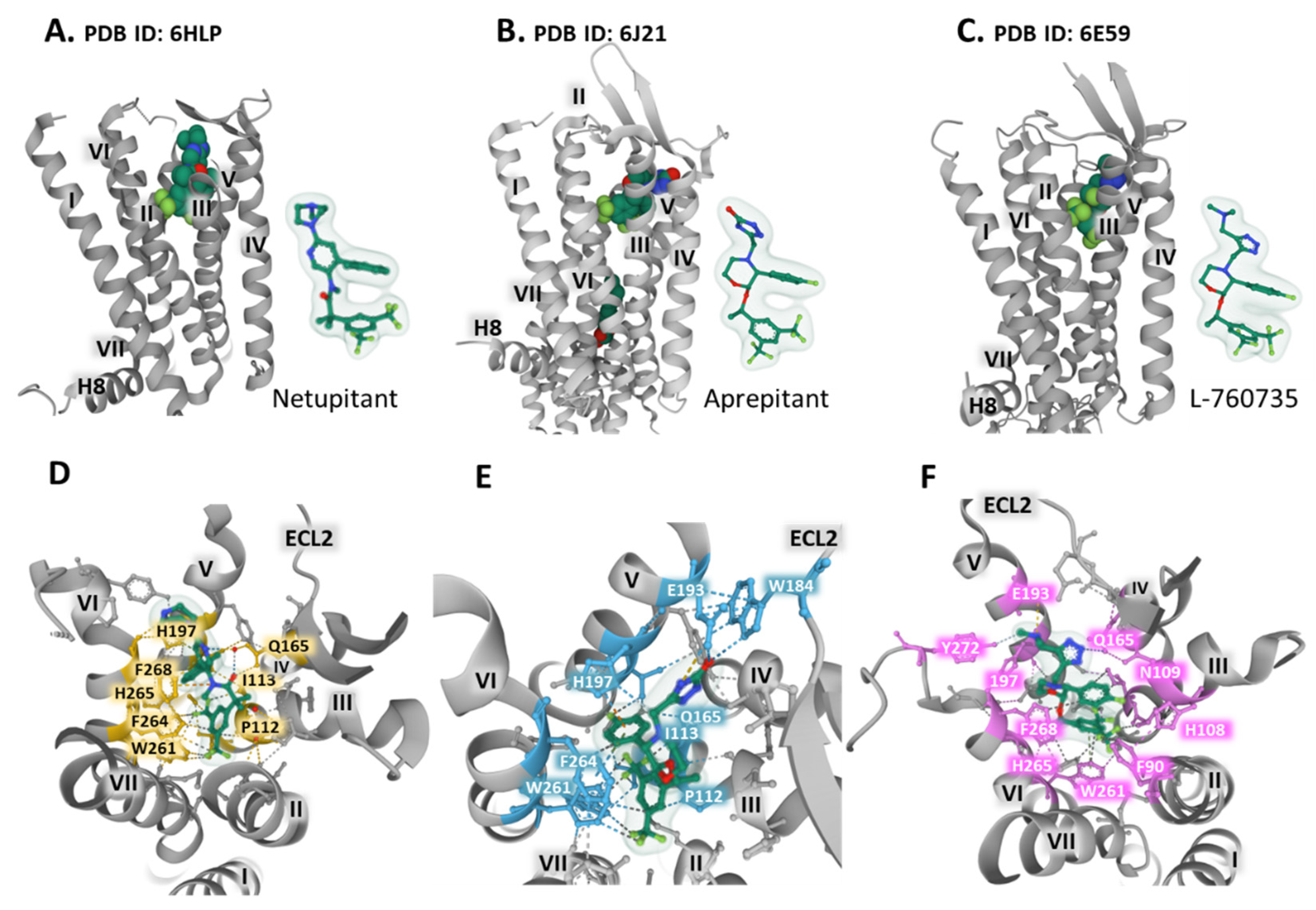 Receptors 01 00004 g004 Receptors 01 00004 g004
