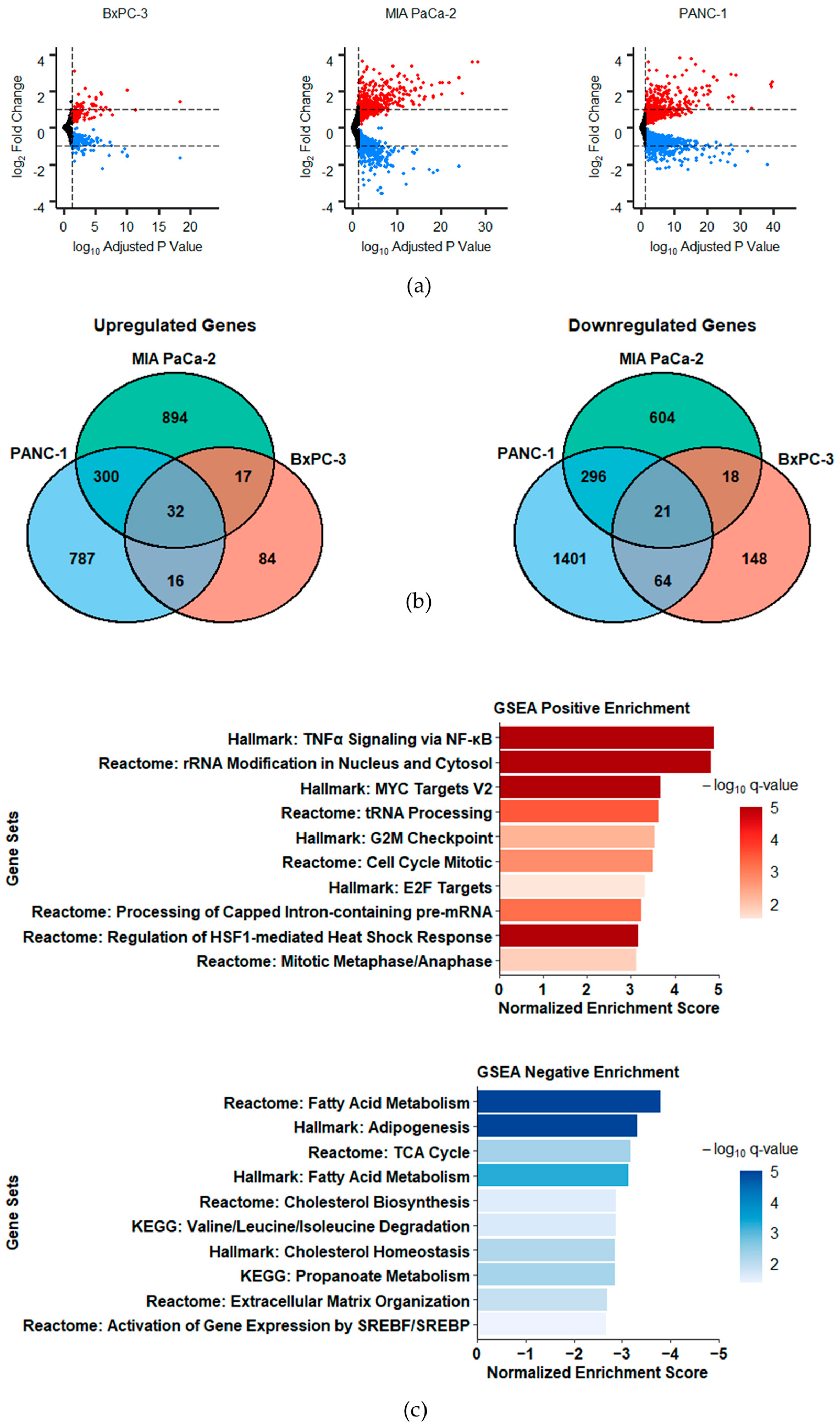 Receptors 02 00003 g001