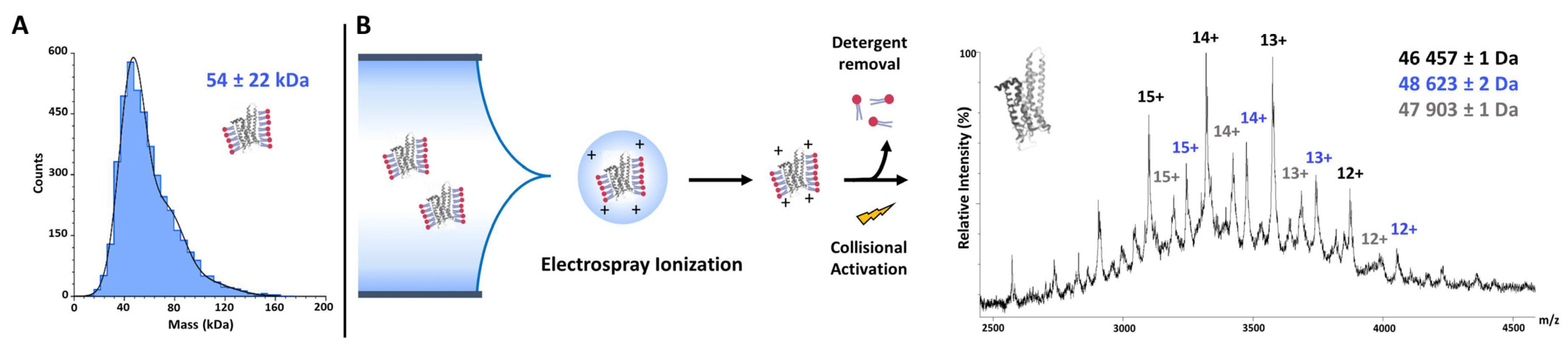 Receptors 02 00004 g001