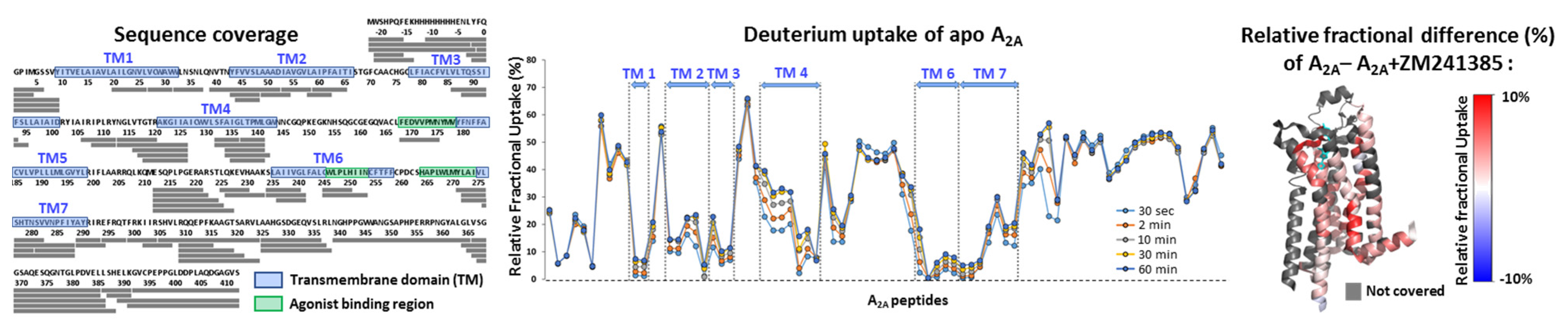Receptors 02 00004 g003