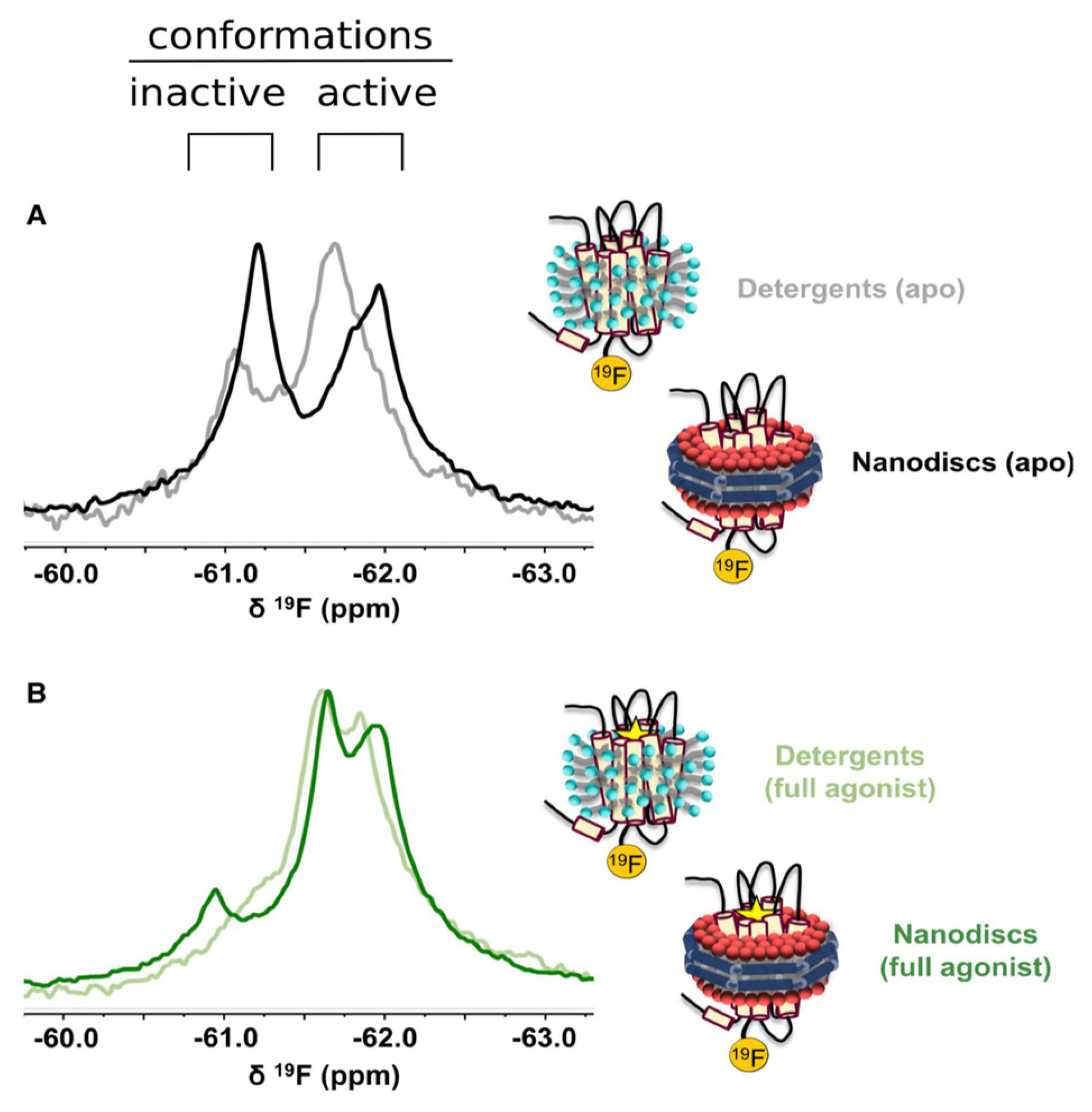 Receptors 02 00004 g005