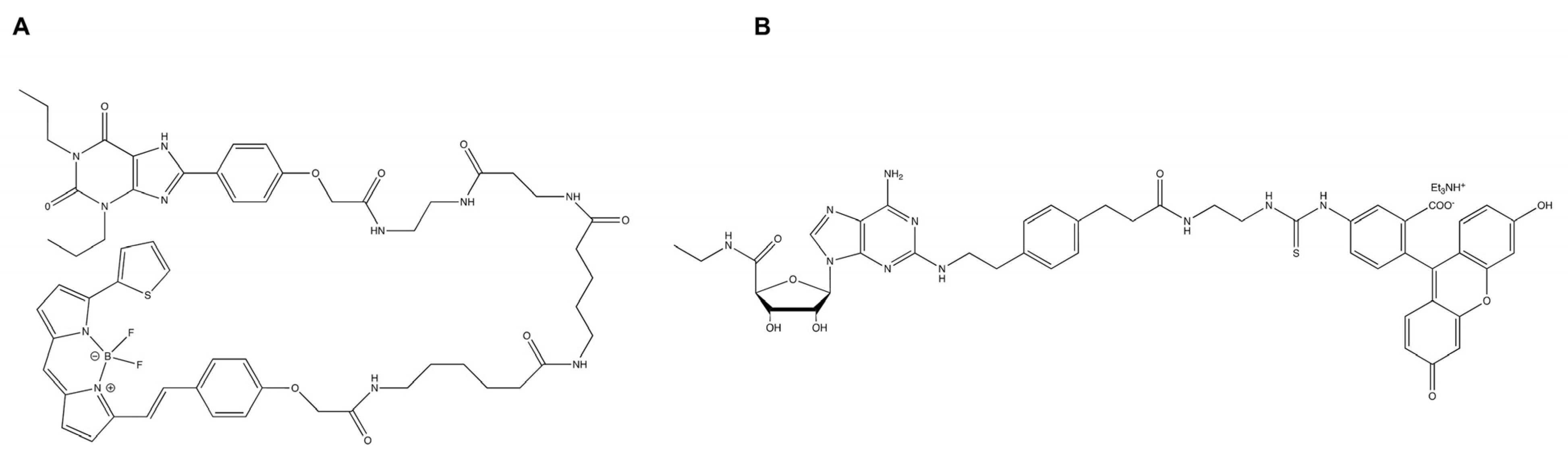 Receptors 02 00004 g011