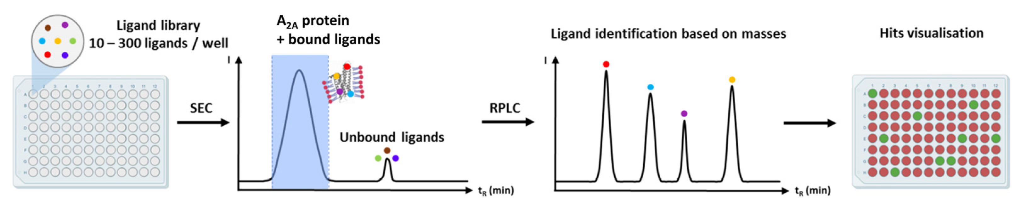 Receptors 02 00004 g012