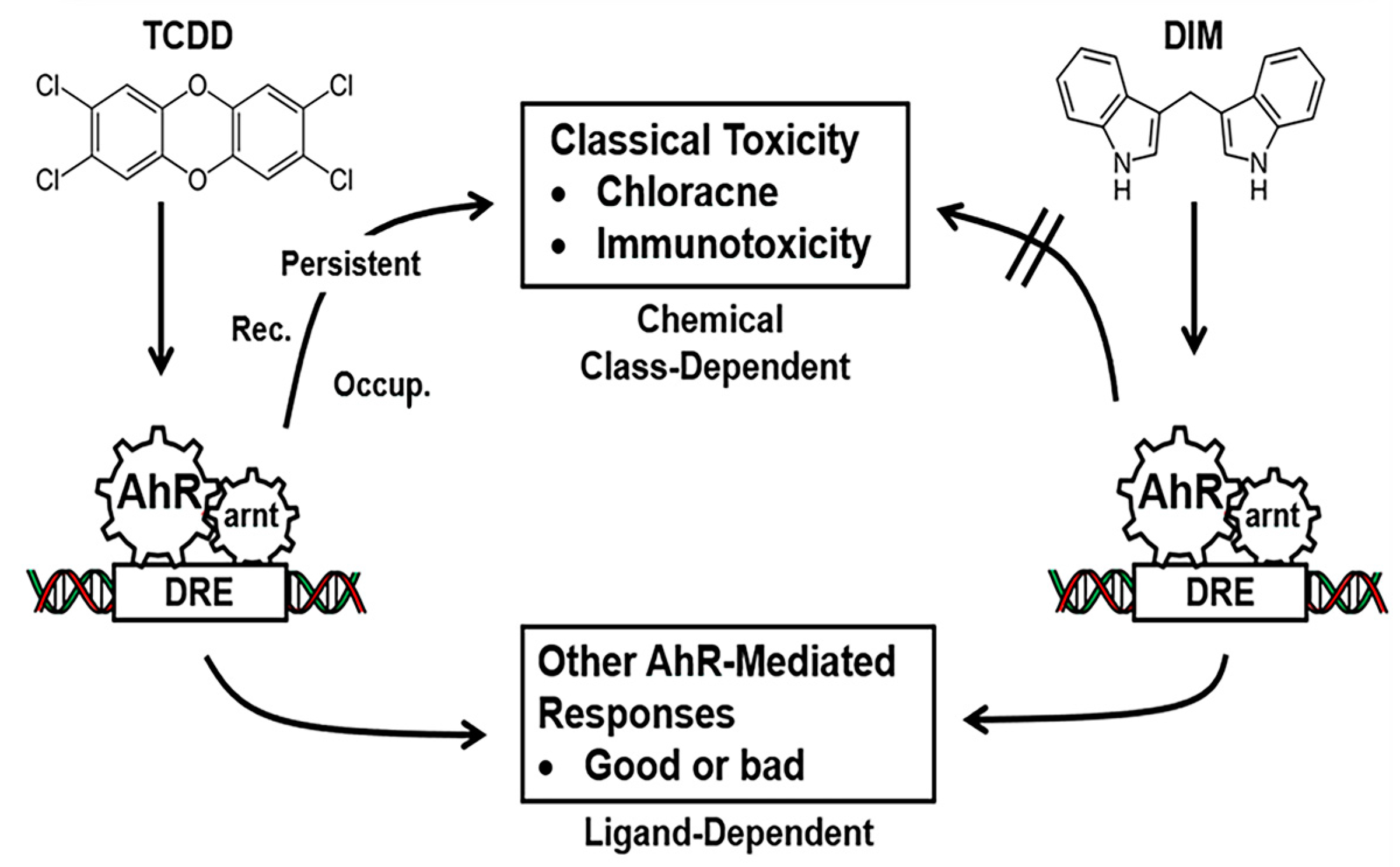 Receptors 02 00005 g001