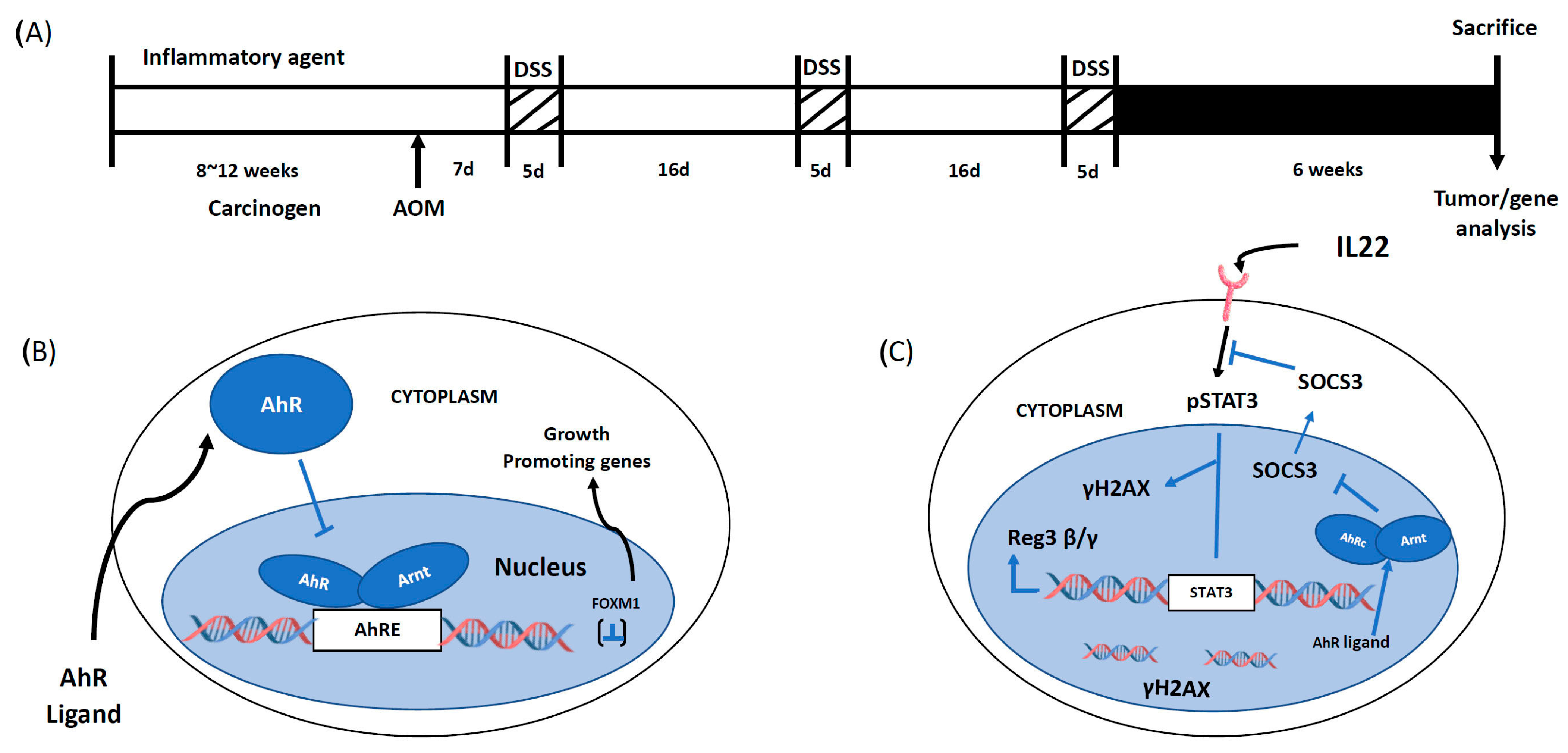 Receptors 02 00005 g002