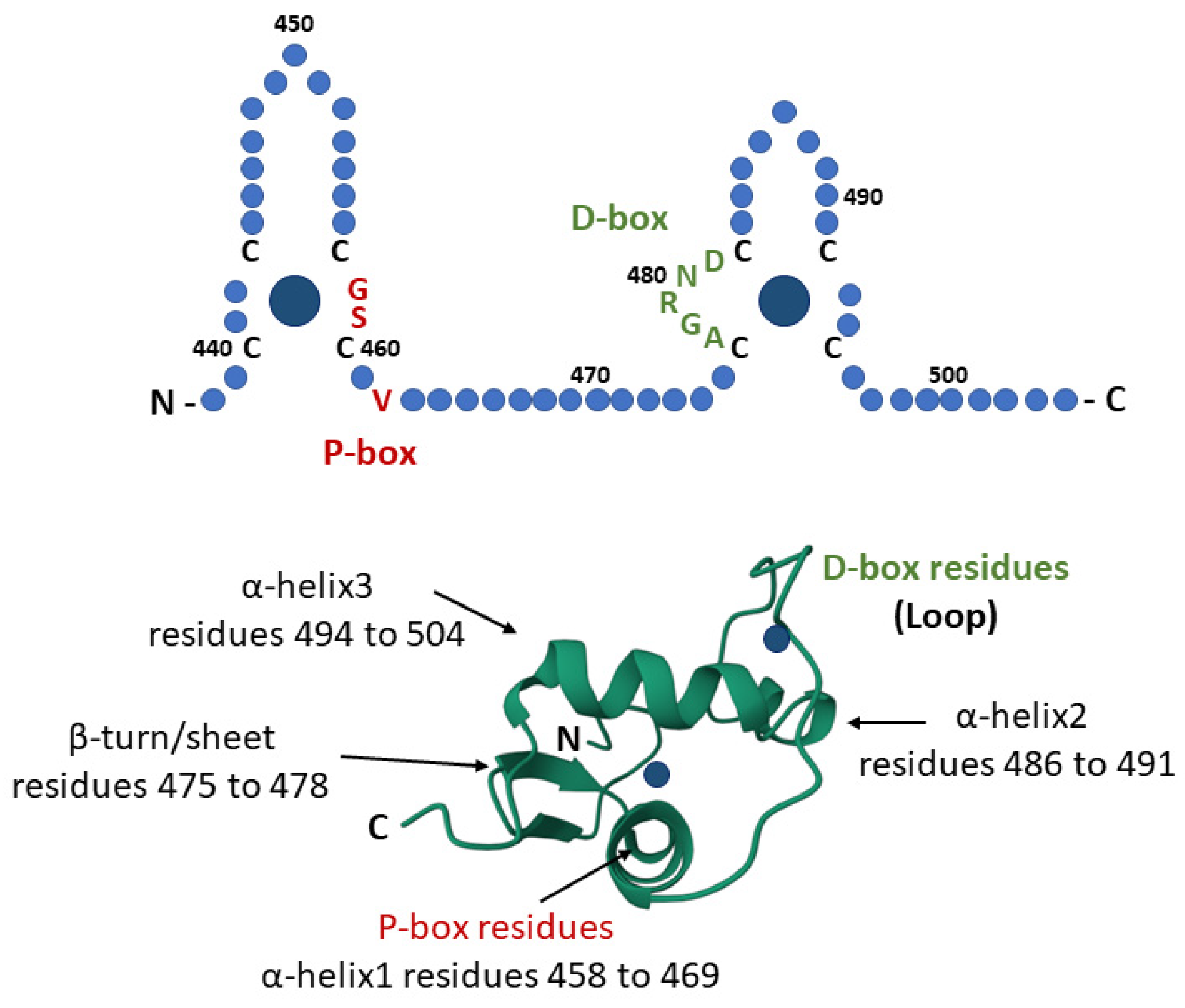 Receptors 02 00011 g002 Receptors 02 00011 g002