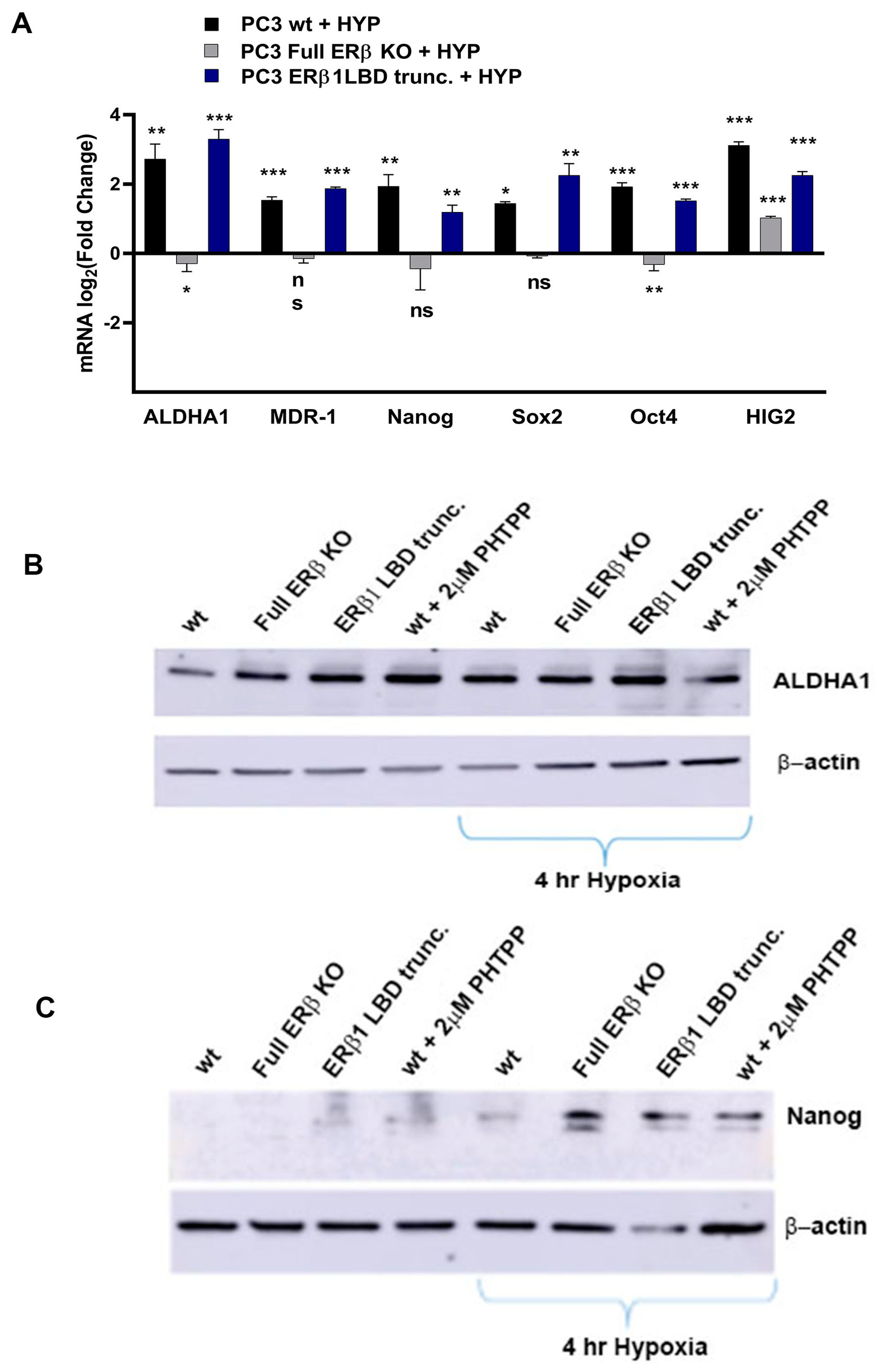 Receptors 02 00012 g004a