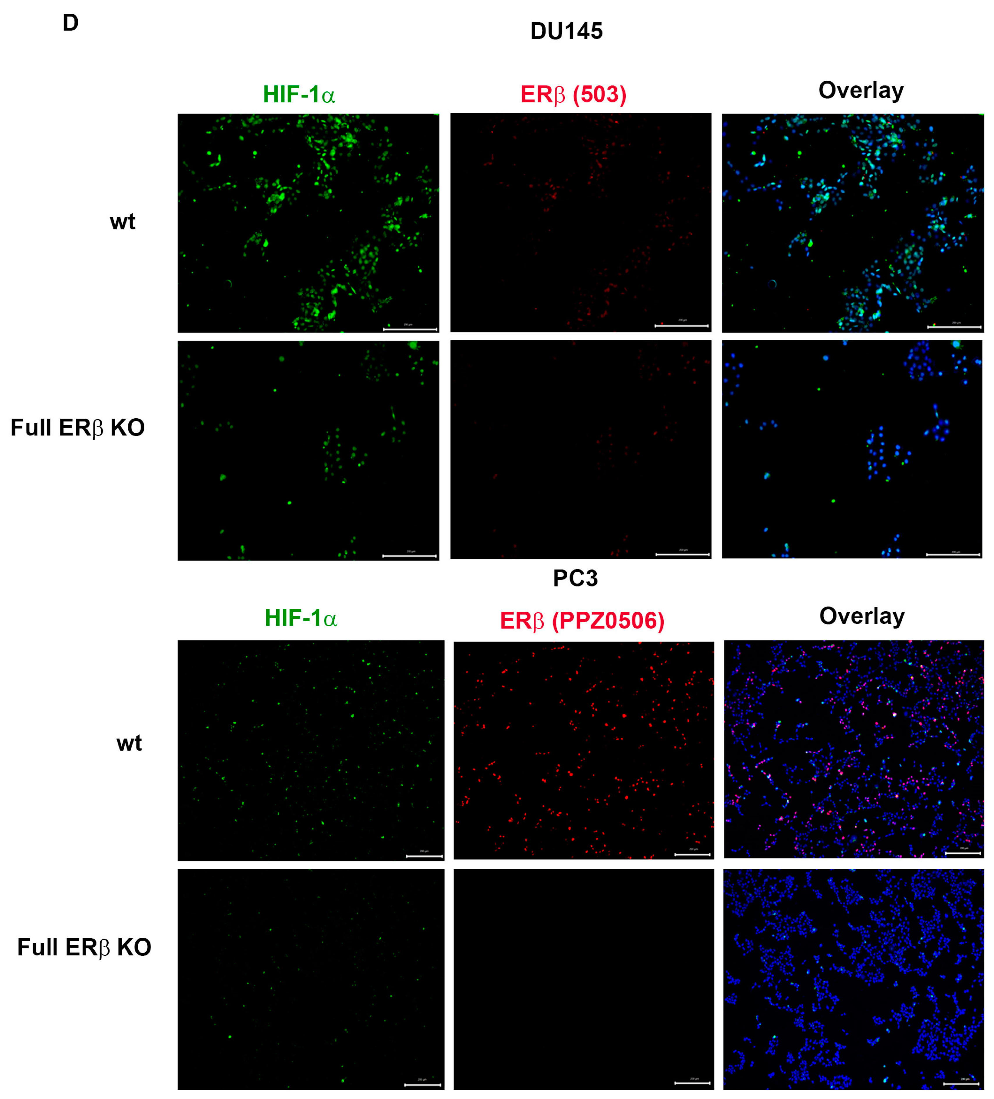 Receptors 02 00012 g004b