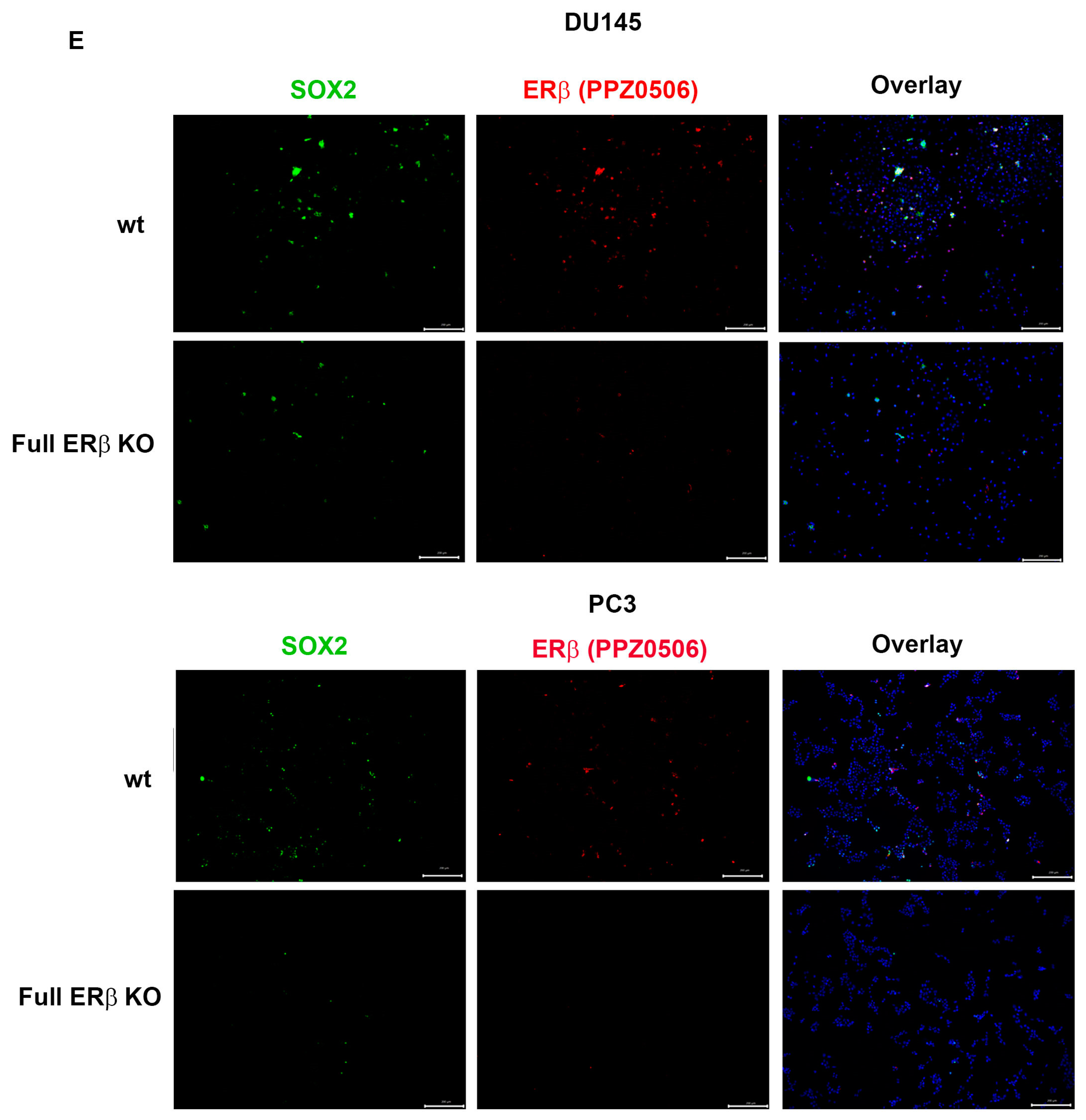 Receptors 02 00012 g004c