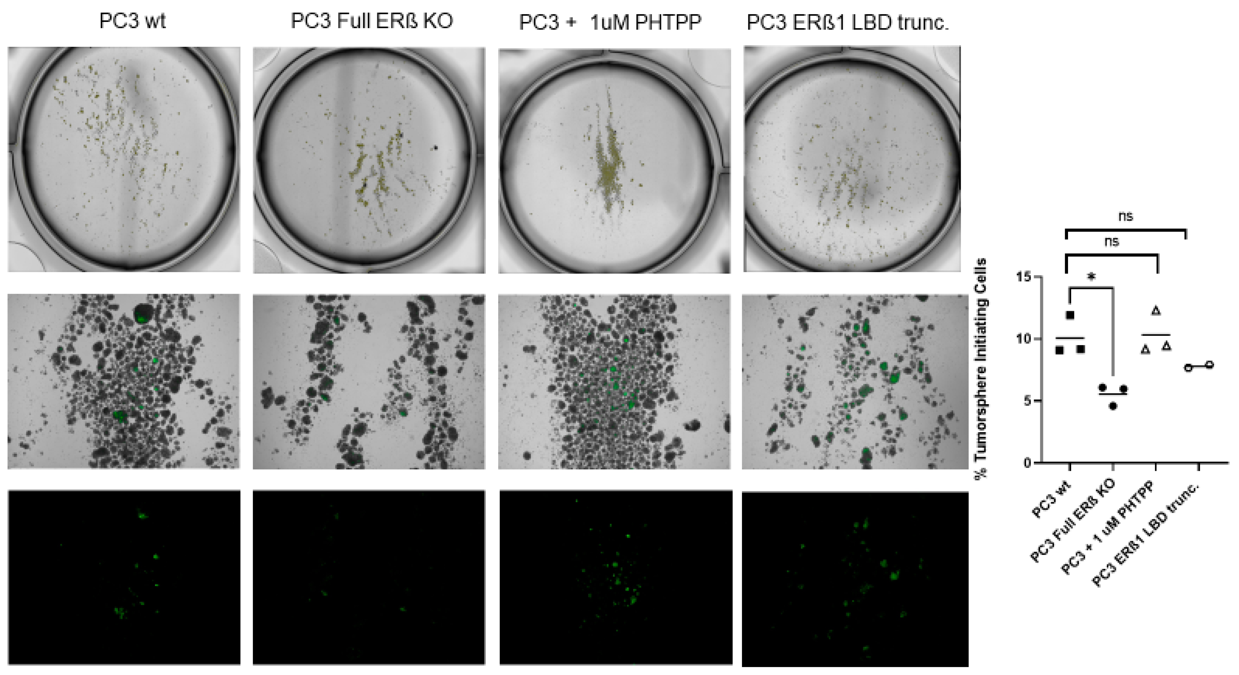Receptors 02 00012 g005