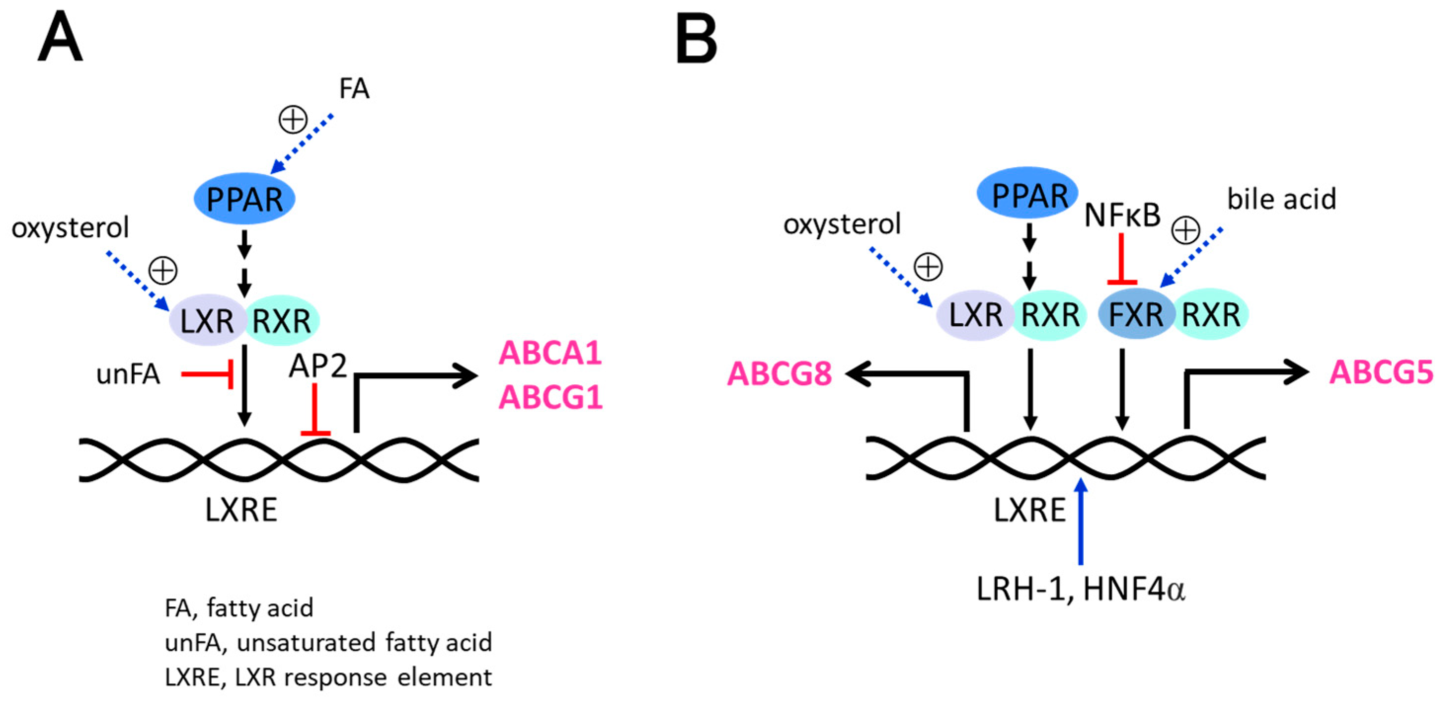 Receptors 02 00014 g004