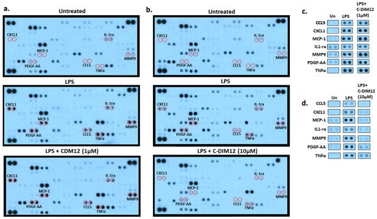Receptors 02 00018 g001
