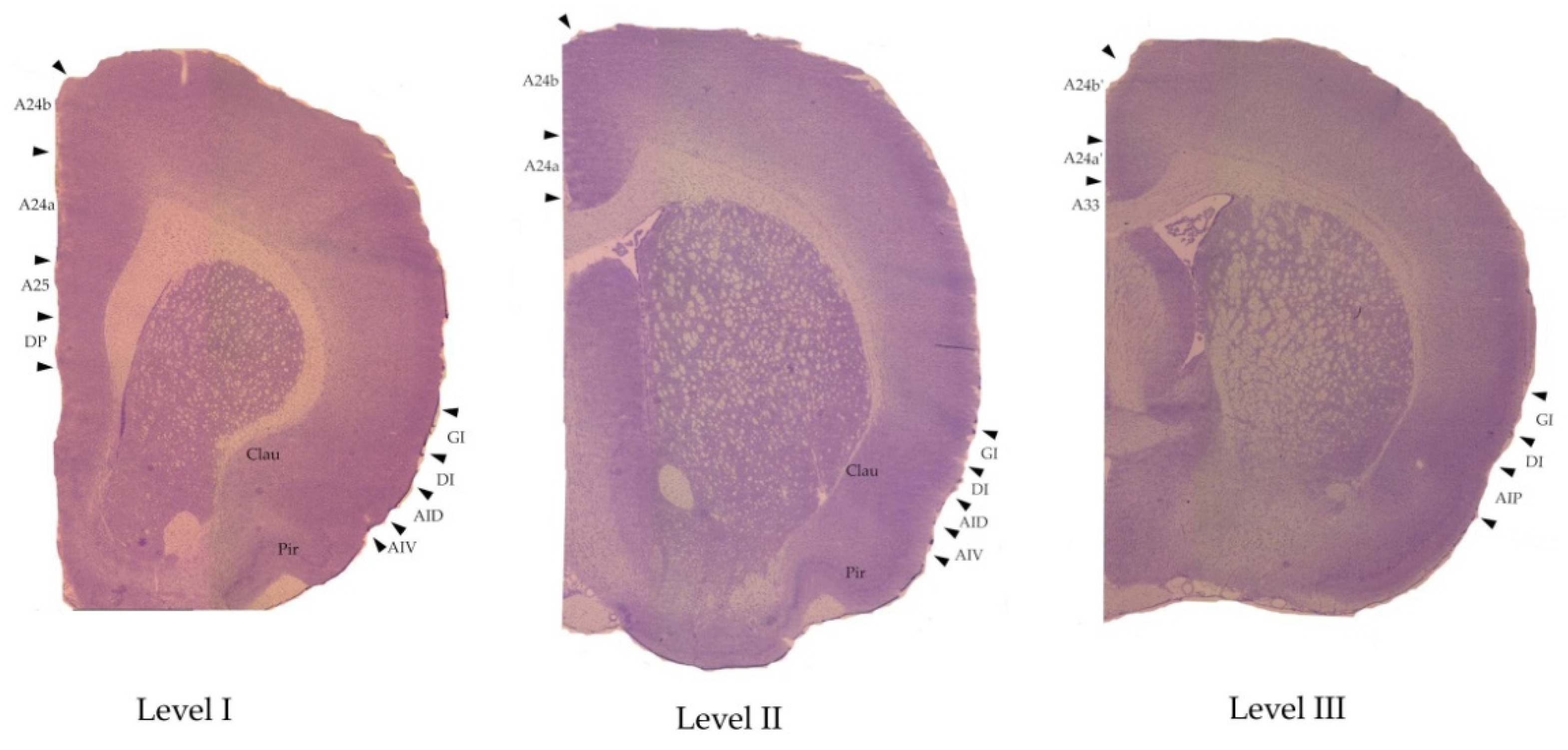Receptors 03 00004 g002 Receptors 03 00004 g002