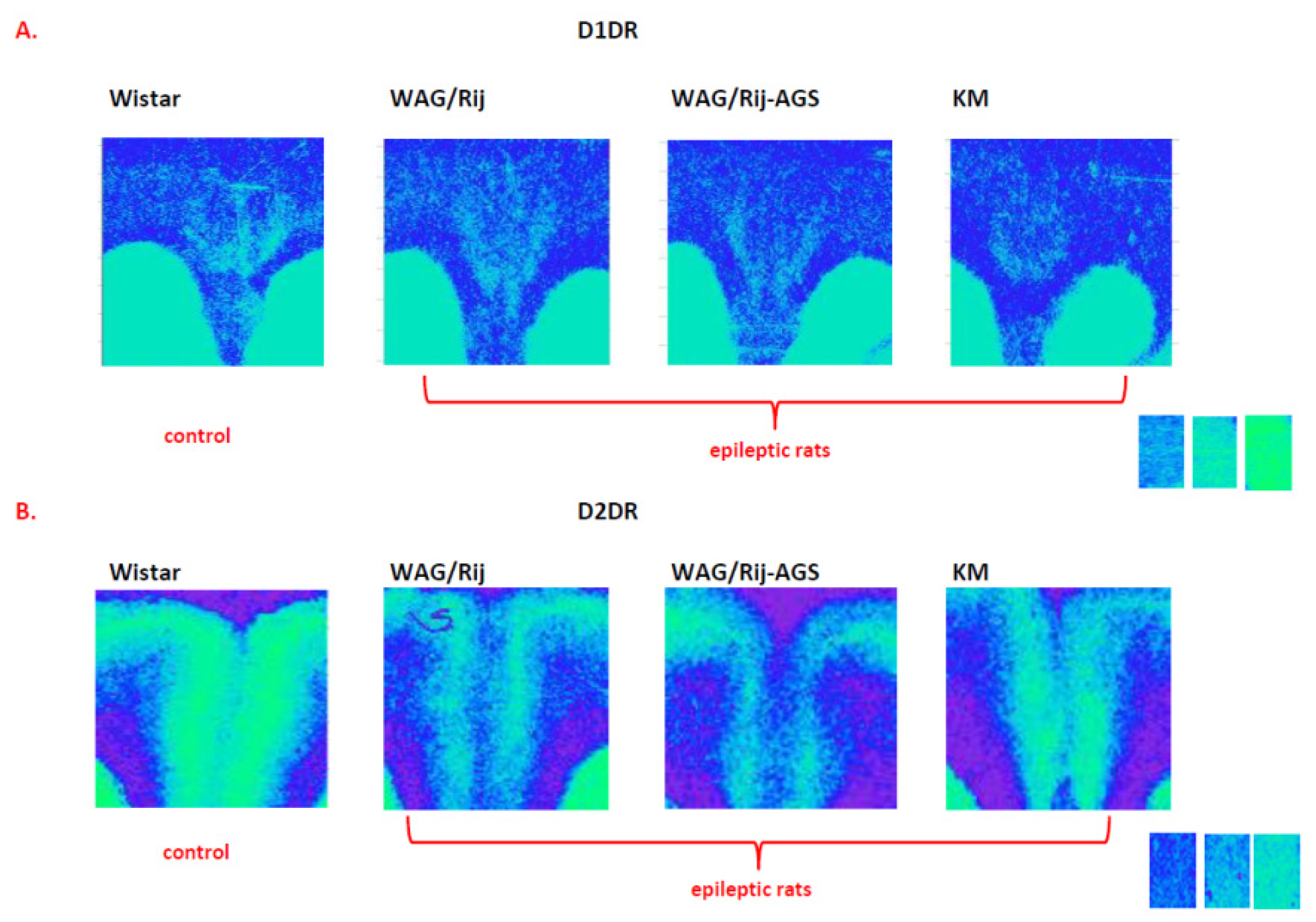 Receptors 03 00004 g006 Receptors 03 00004 g006