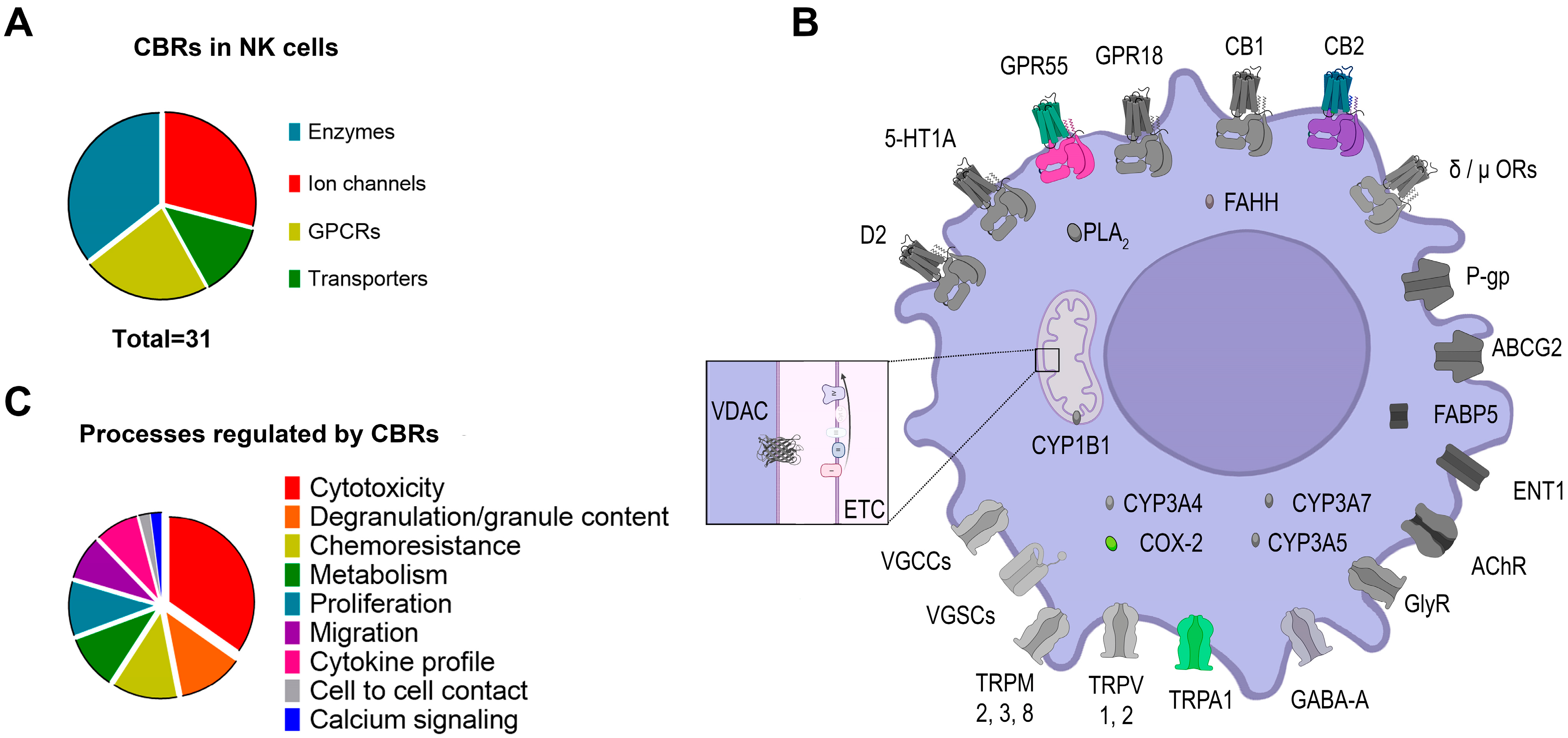 Receptors 03 00007 g002