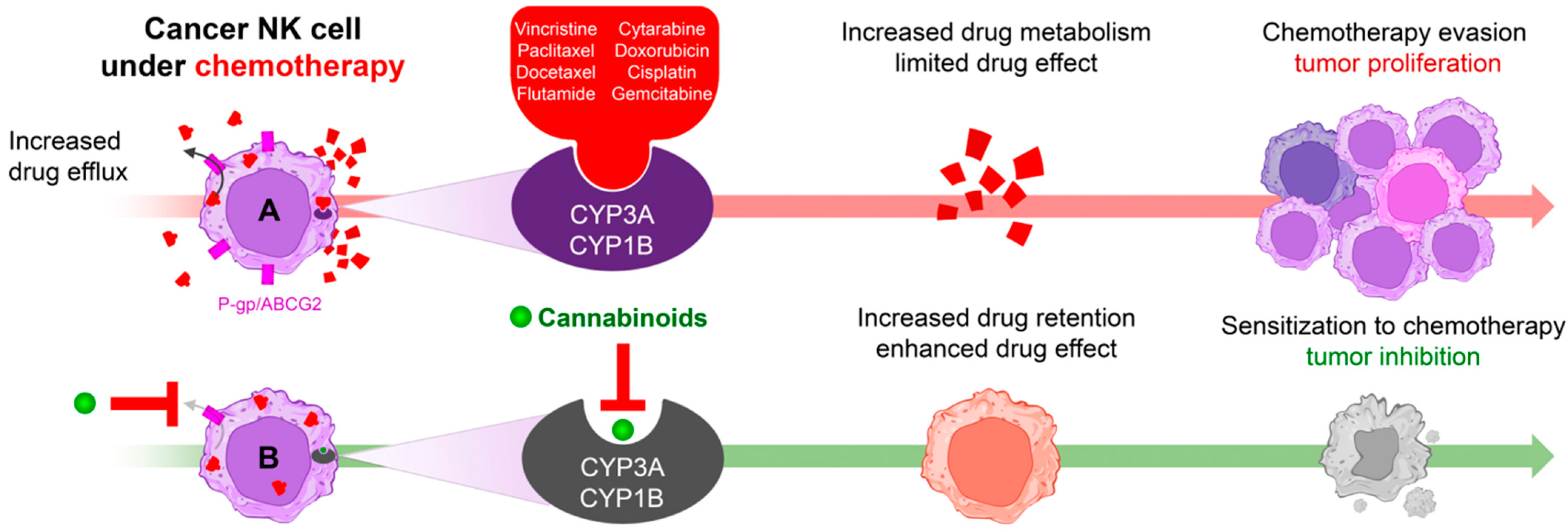 Receptors 03 00007 g004