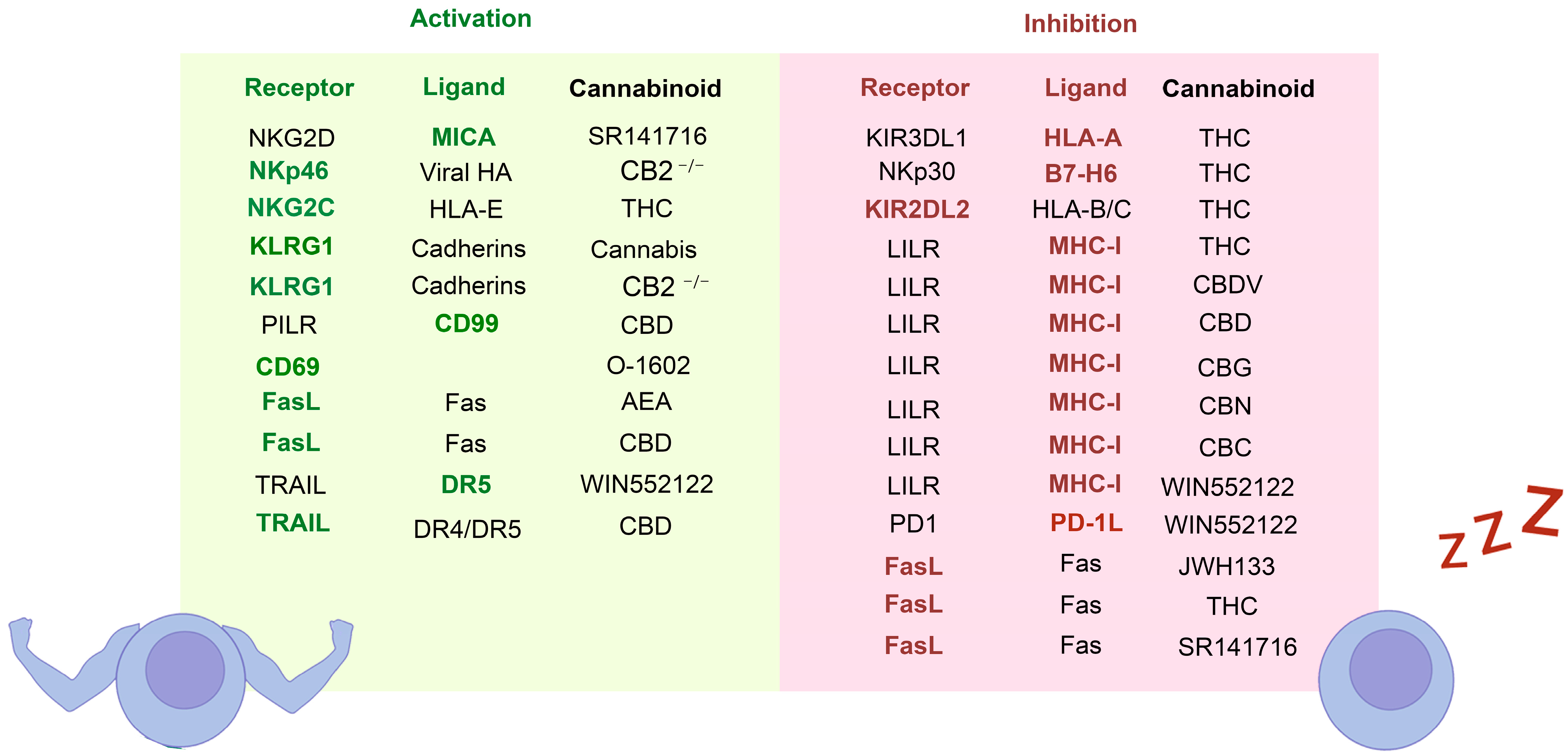Receptors 03 00007 g006