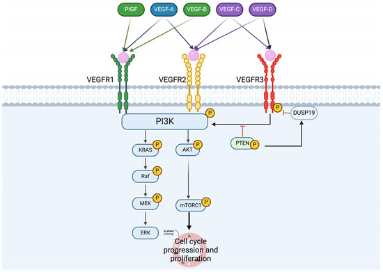 Receptors 03 00008 g002