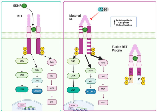 Receptors 03 00008 g003