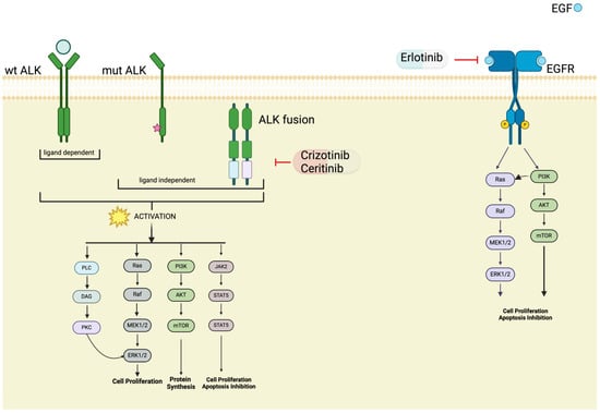 Receptors 03 00008 g004