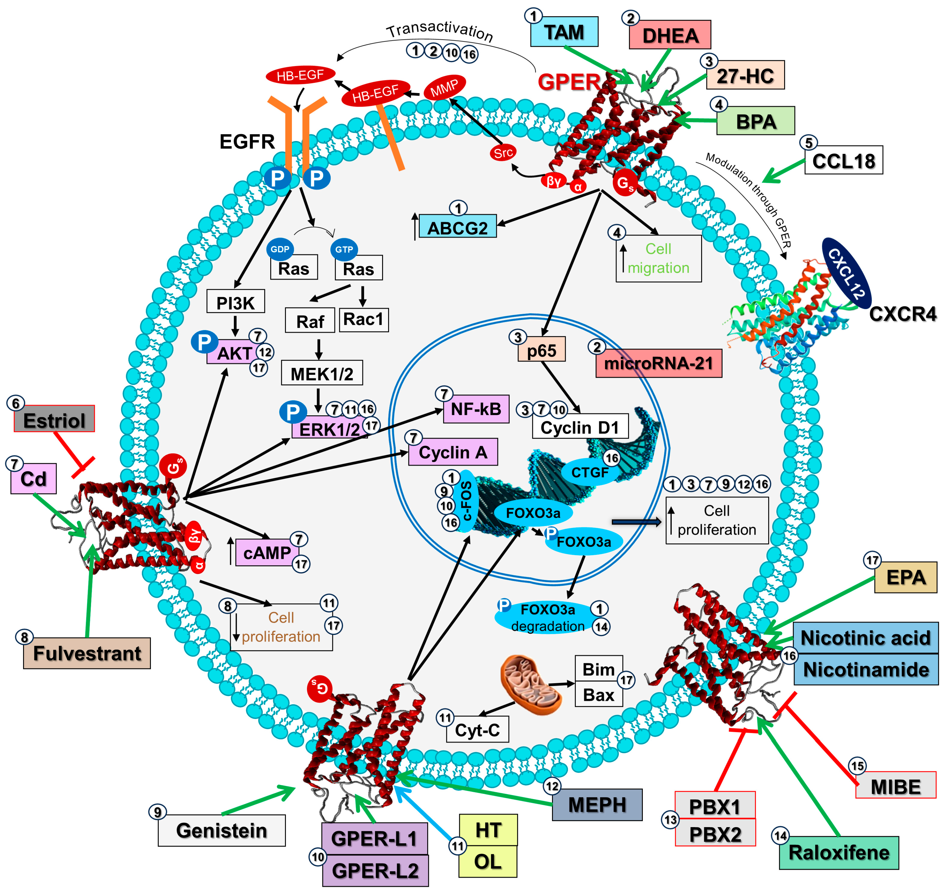 Receptors 03 00012 g002