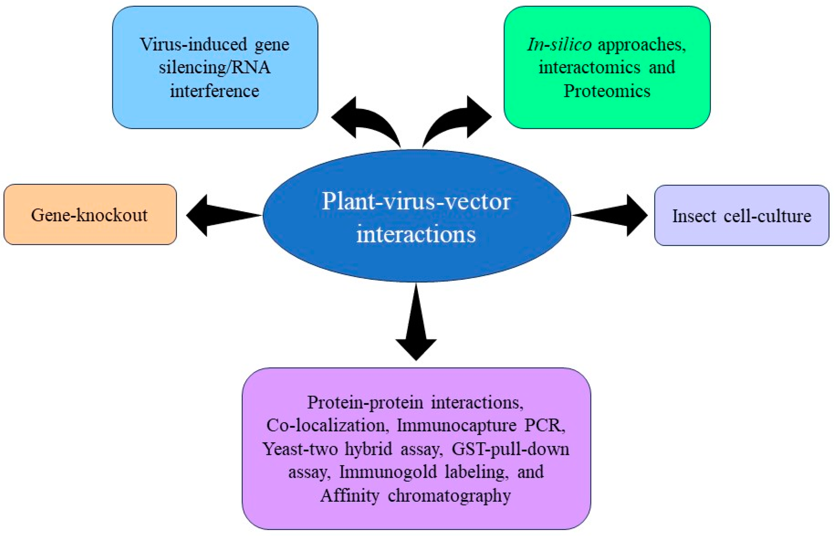 Receptors 03 00013 g001