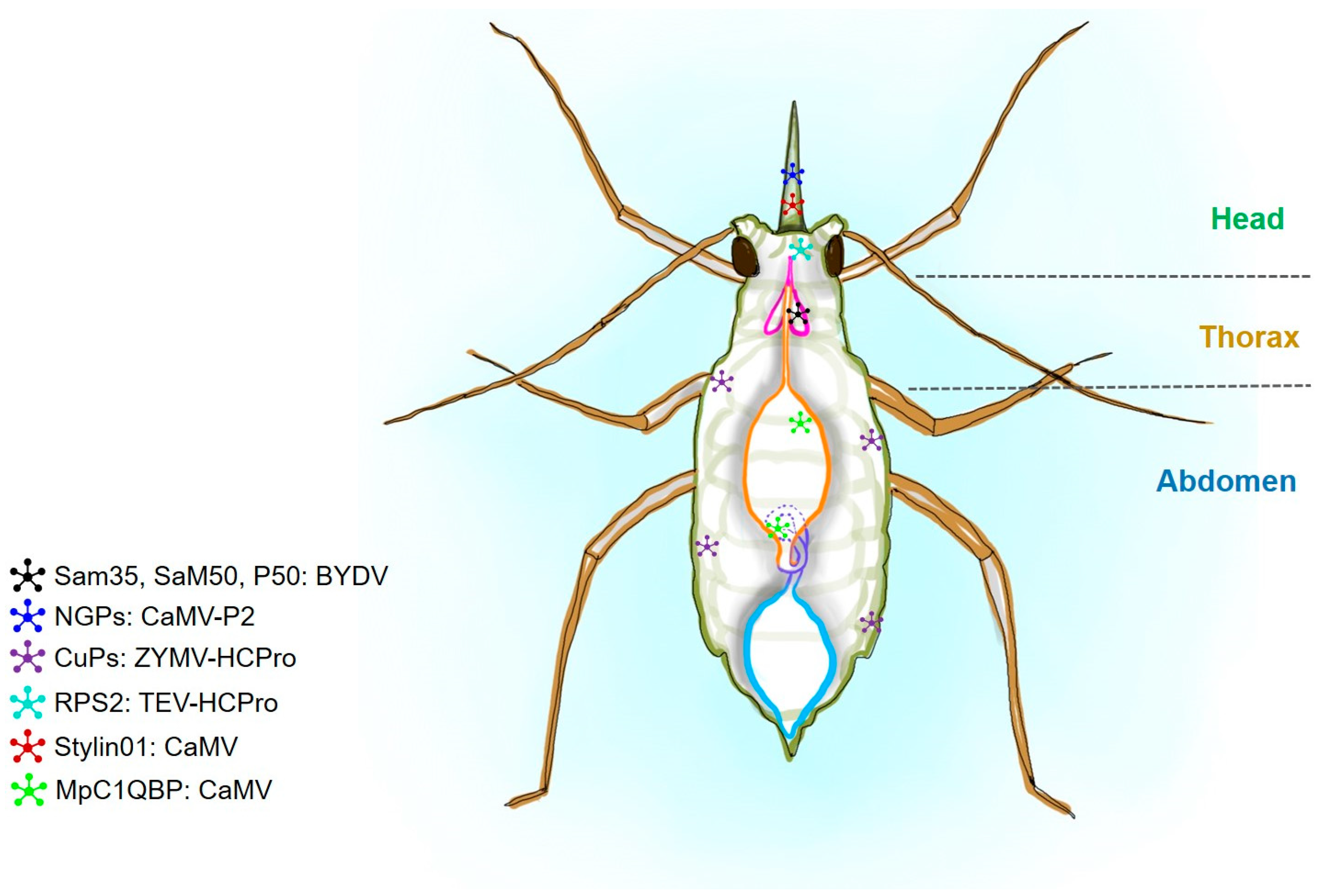 Receptors 03 00013 g002