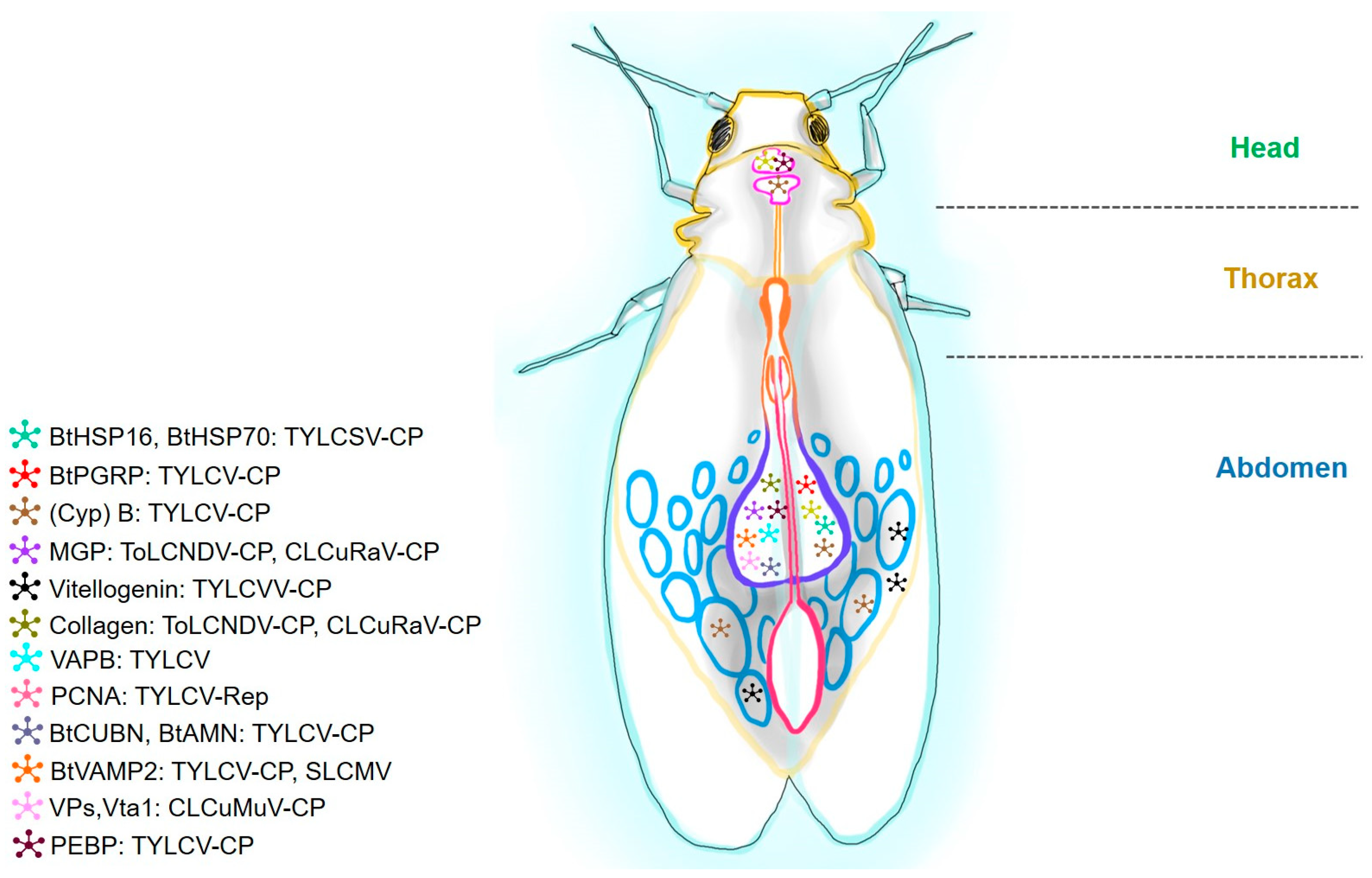 Receptors 03 00013 g005