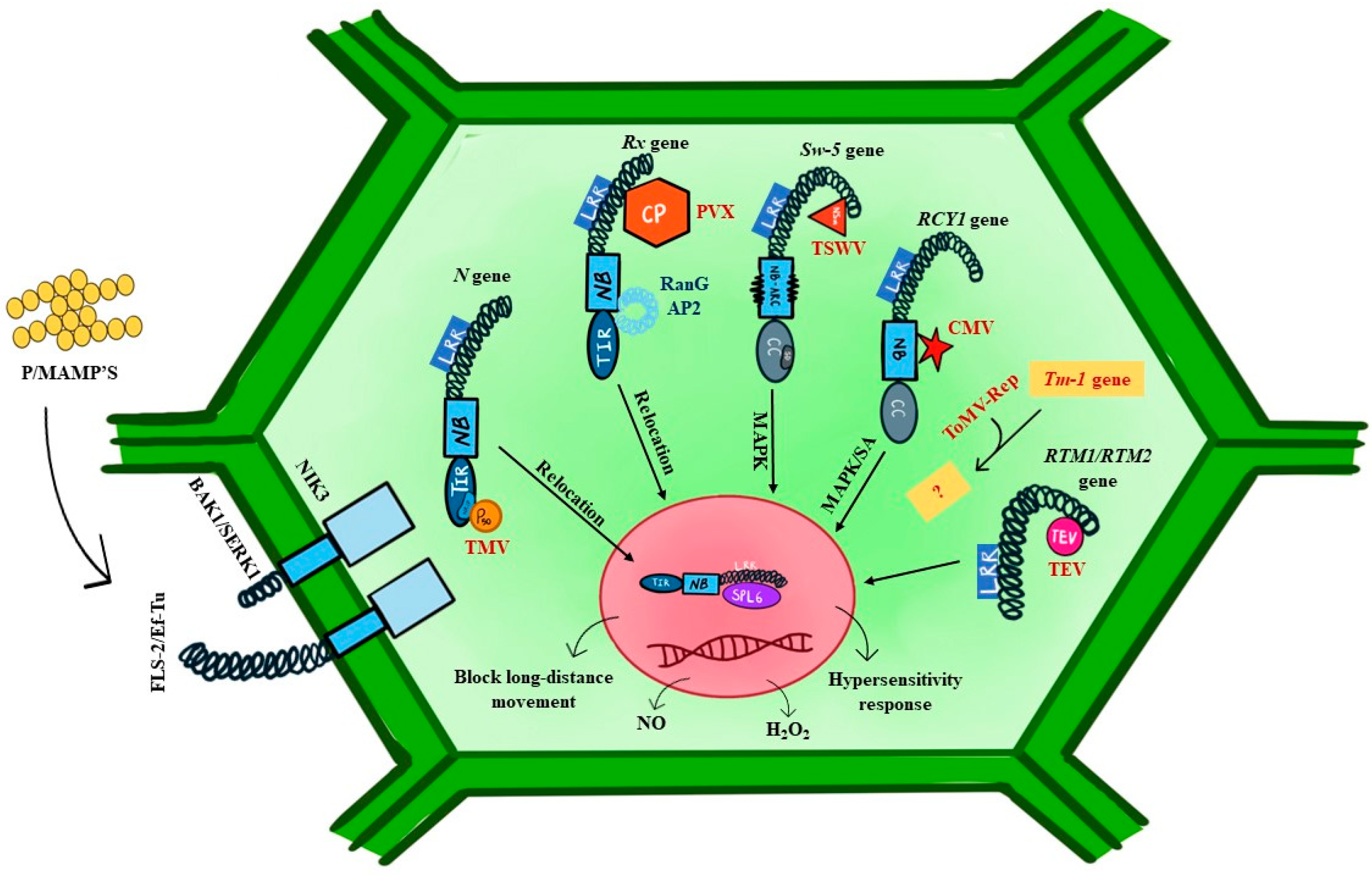 Receptors 03 00013 g006