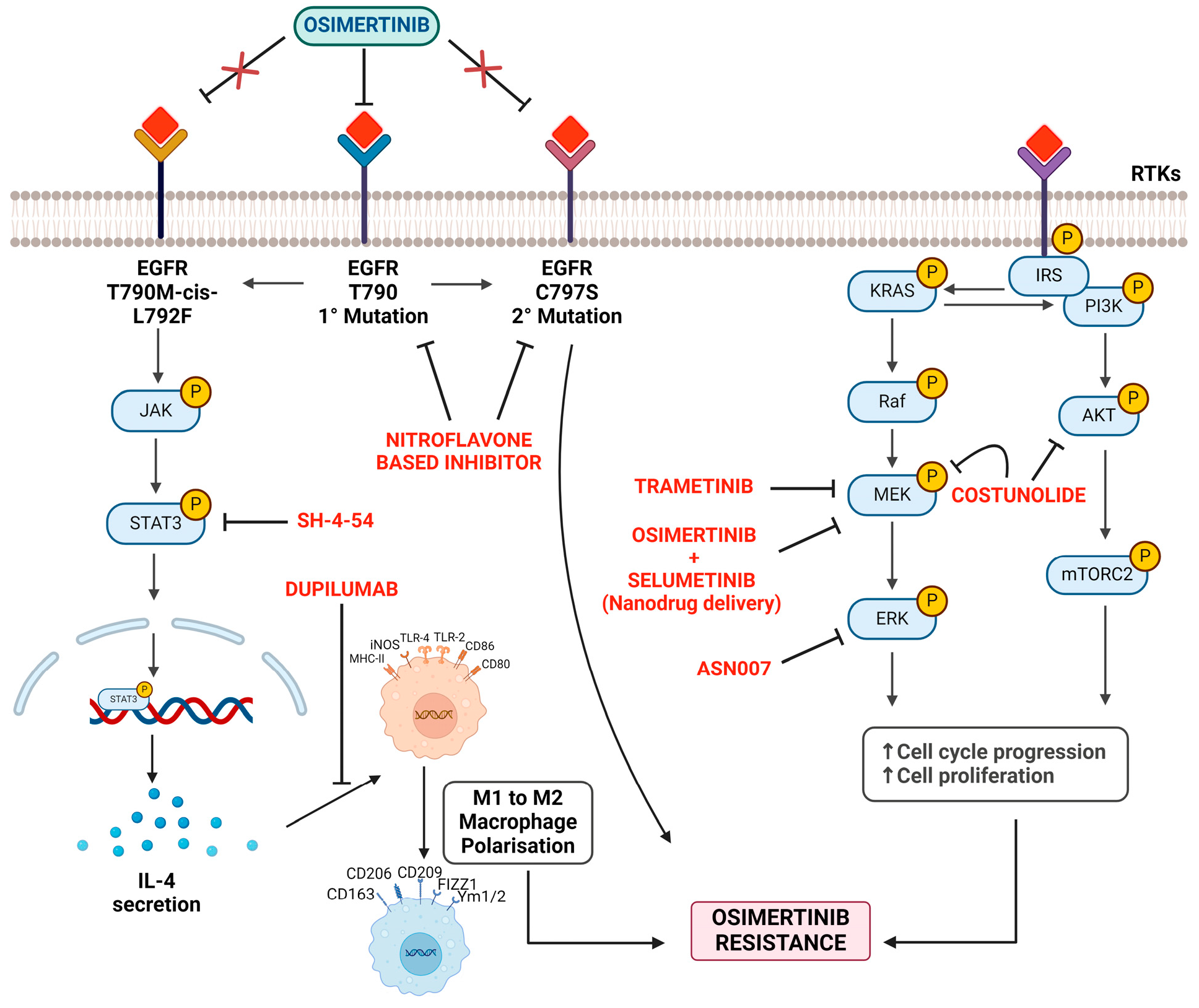 Receptors 03 00021 g004
