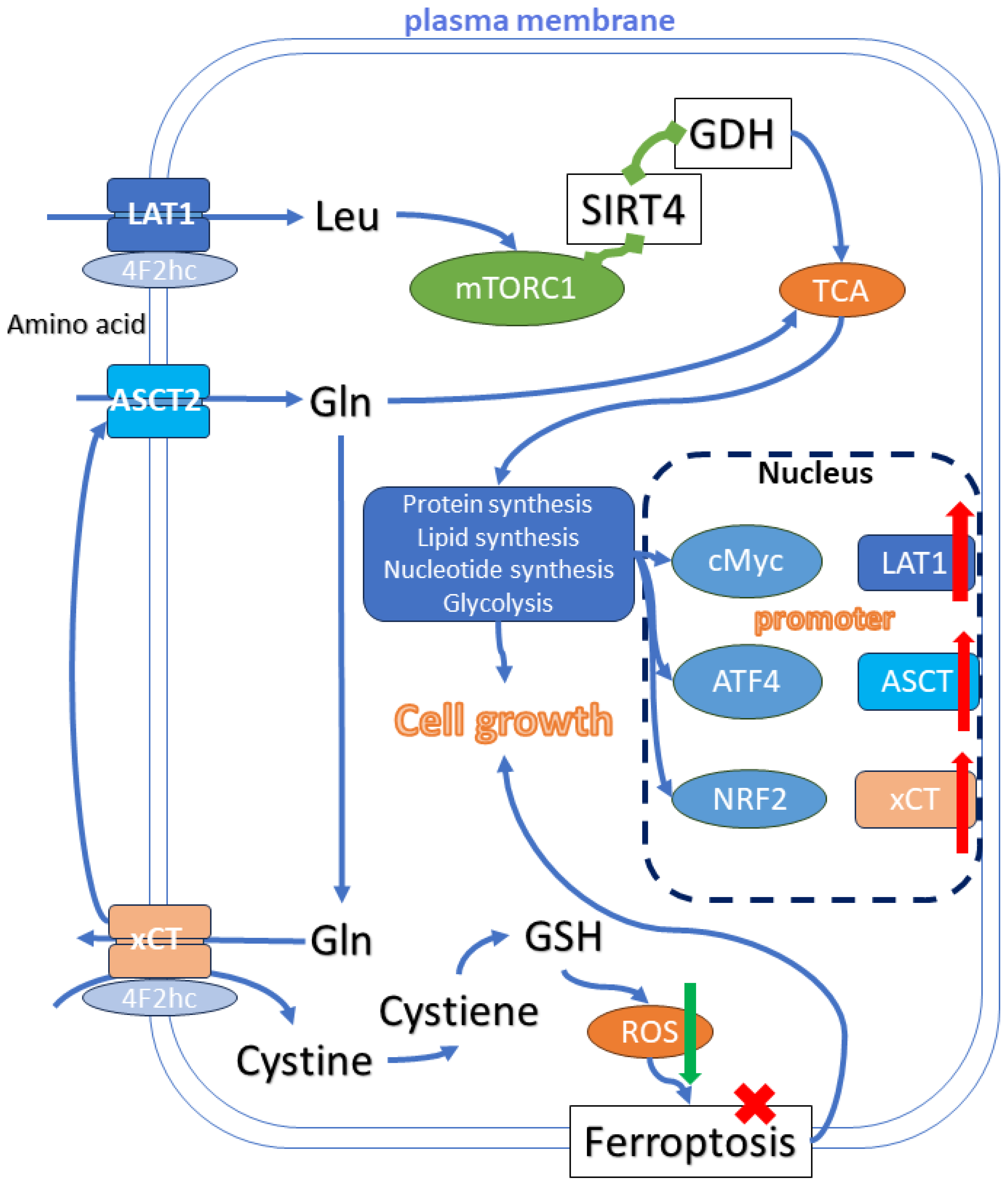 Receptors 03 00024 g001