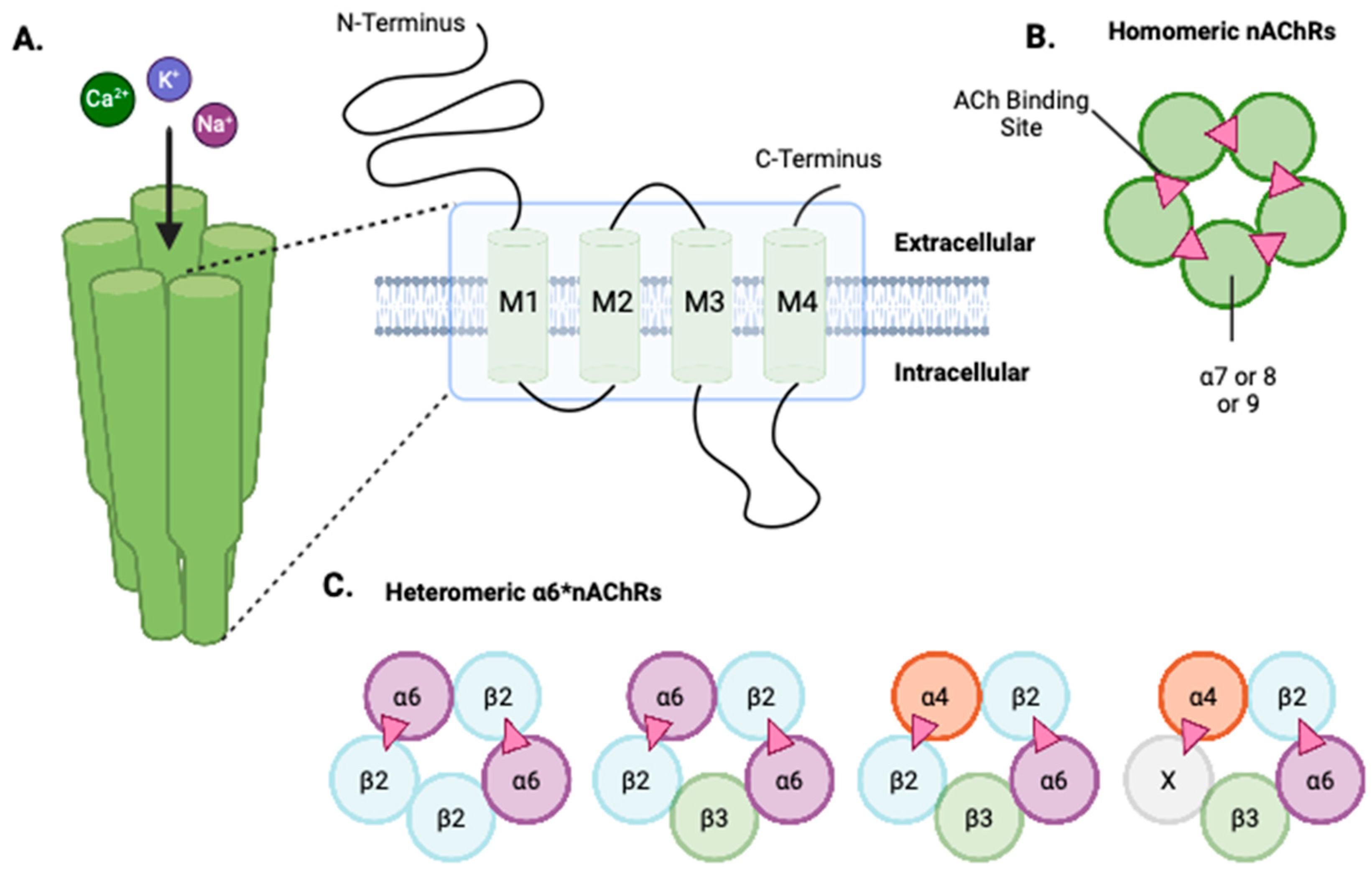 Receptors 04 00001 g001 Receptors 04 00001 g001