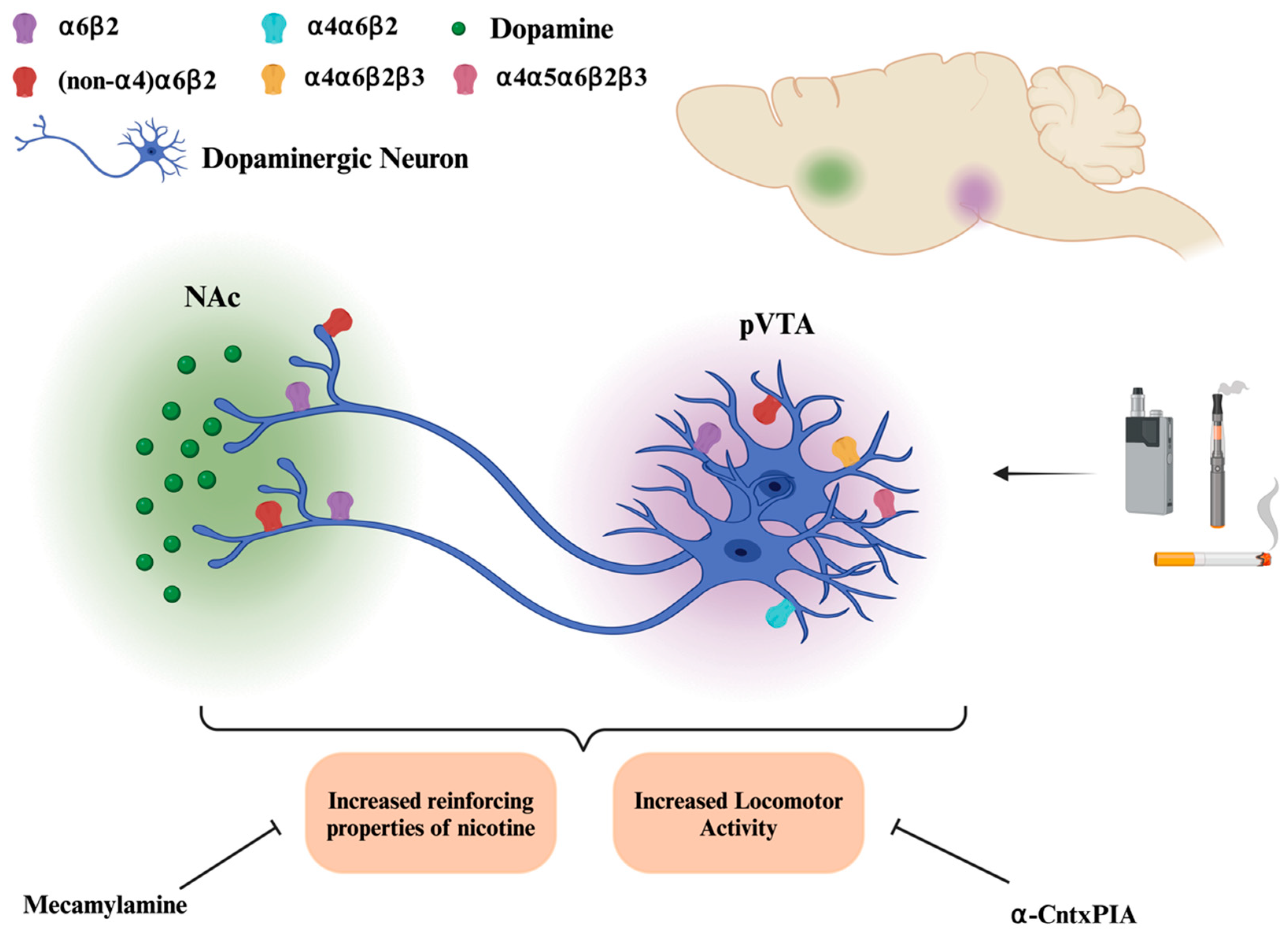 Receptors 04 00001 g003 Receptors 04 00001 g003